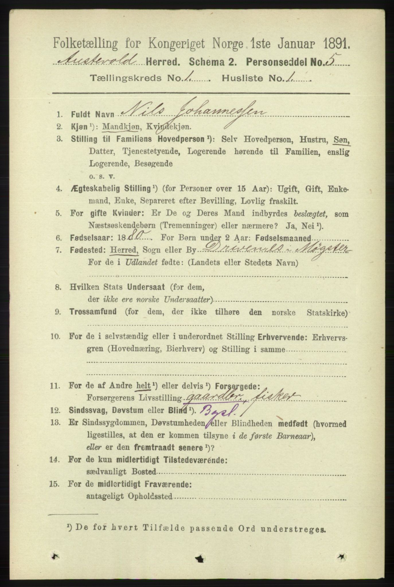 RA, 1891 census for 1244 Austevoll, 1891, p. 102