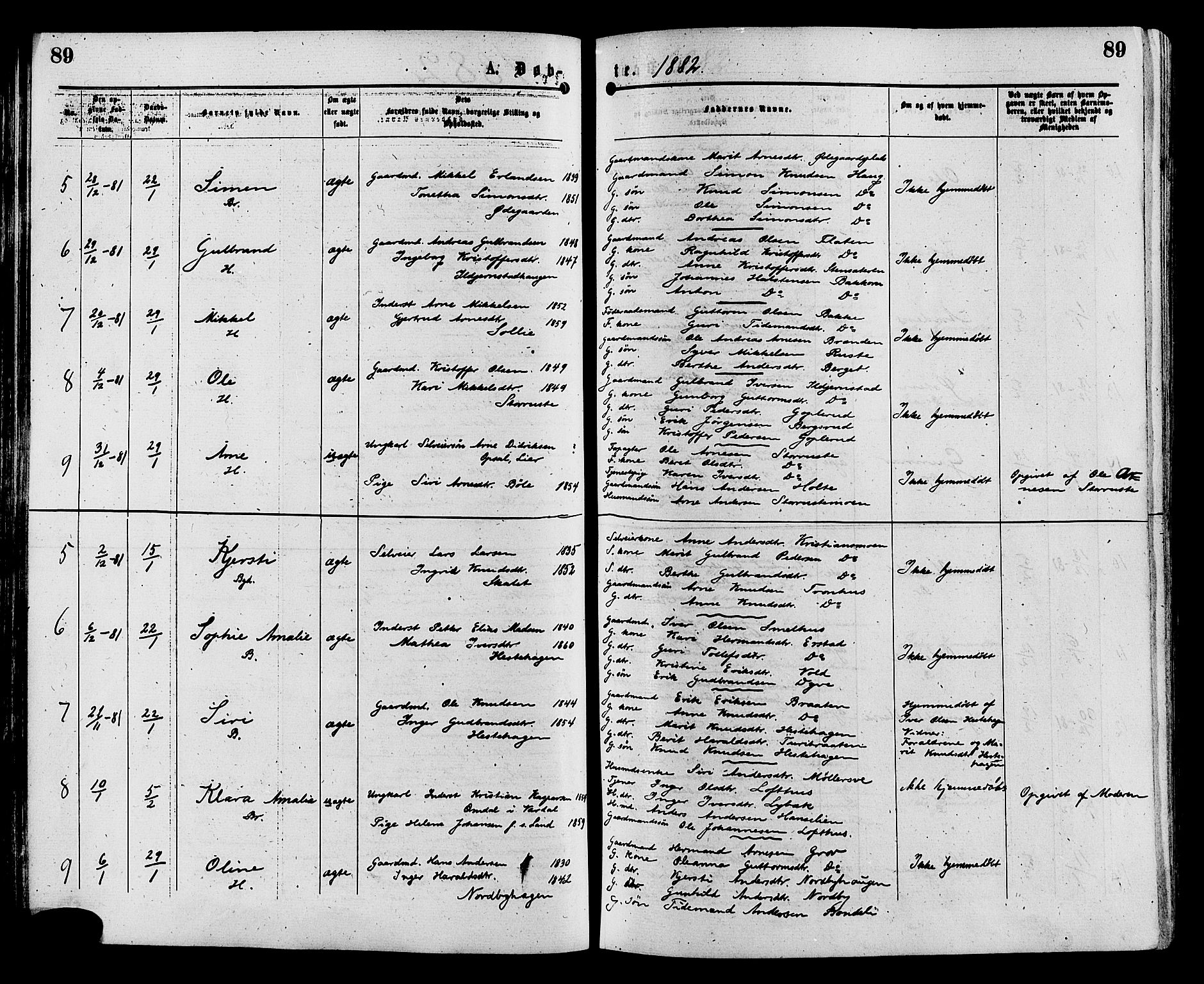 Sør-Aurdal prestekontor, AV/SAH-PREST-128/H/Ha/Haa/L0008: Parish register (official) no. 8, 1877-1885, p. 89