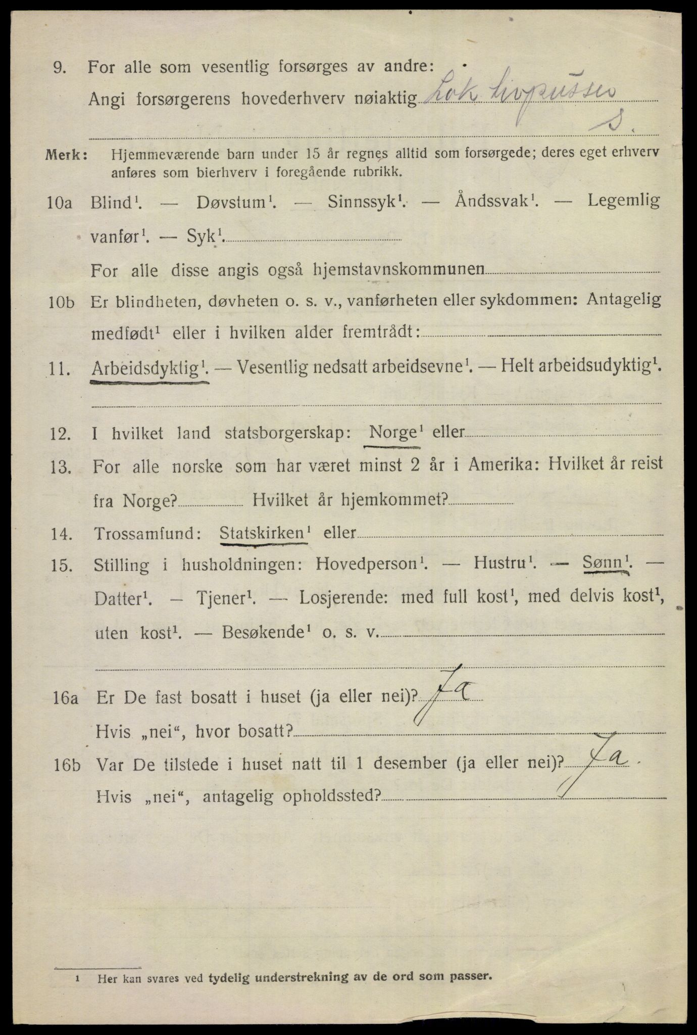 SAKO, 1920 census for Ål, 1920, p. 7017