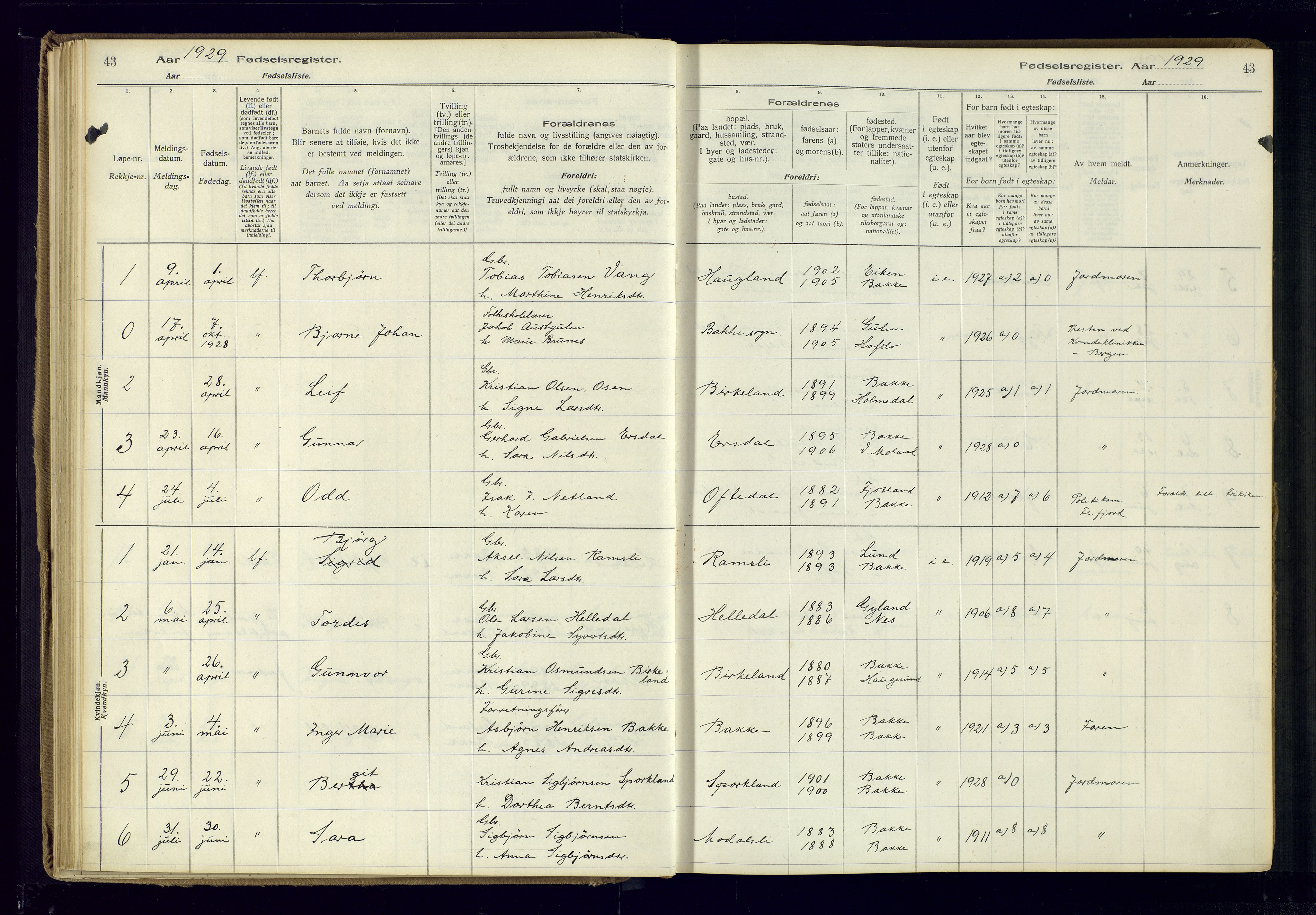 Bakke sokneprestkontor, SAK/1111-0002/J/Ja/L0001: Birth register no. A-VI-18, 1916-1982, p. 43