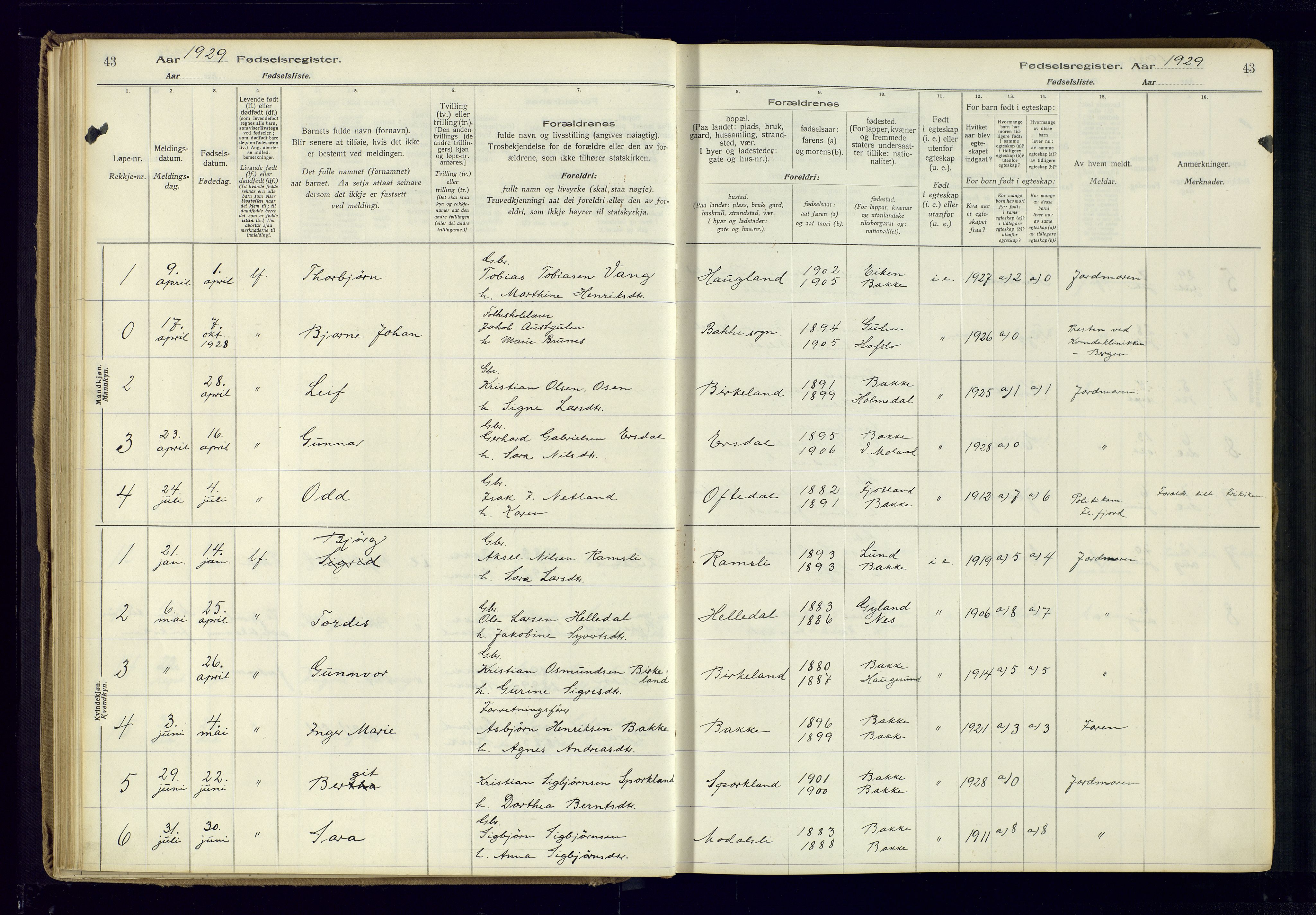 Bakke sokneprestkontor, AV/SAK-1111-0002/J/Ja/L0001: Birth register no. A-VI-18, 1916-1982, p. 43