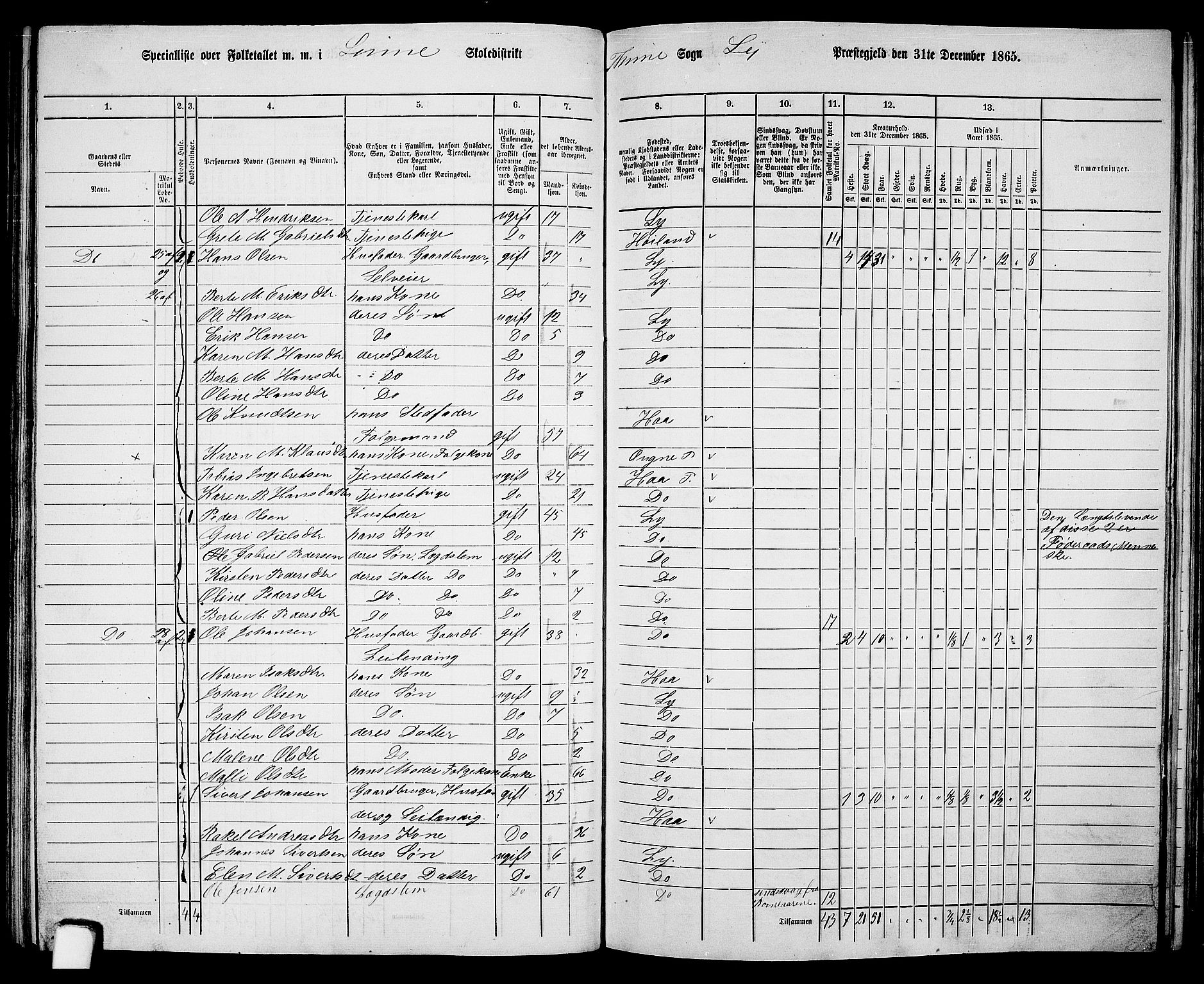 RA, 1865 census for Lye, 1865, p. 104