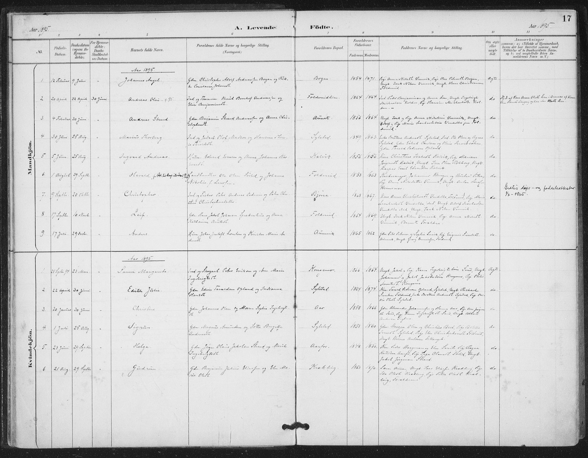 Ministerialprotokoller, klokkerbøker og fødselsregistre - Nord-Trøndelag, SAT/A-1458/783/L0660: Parish register (official) no. 783A02, 1886-1918, p. 17