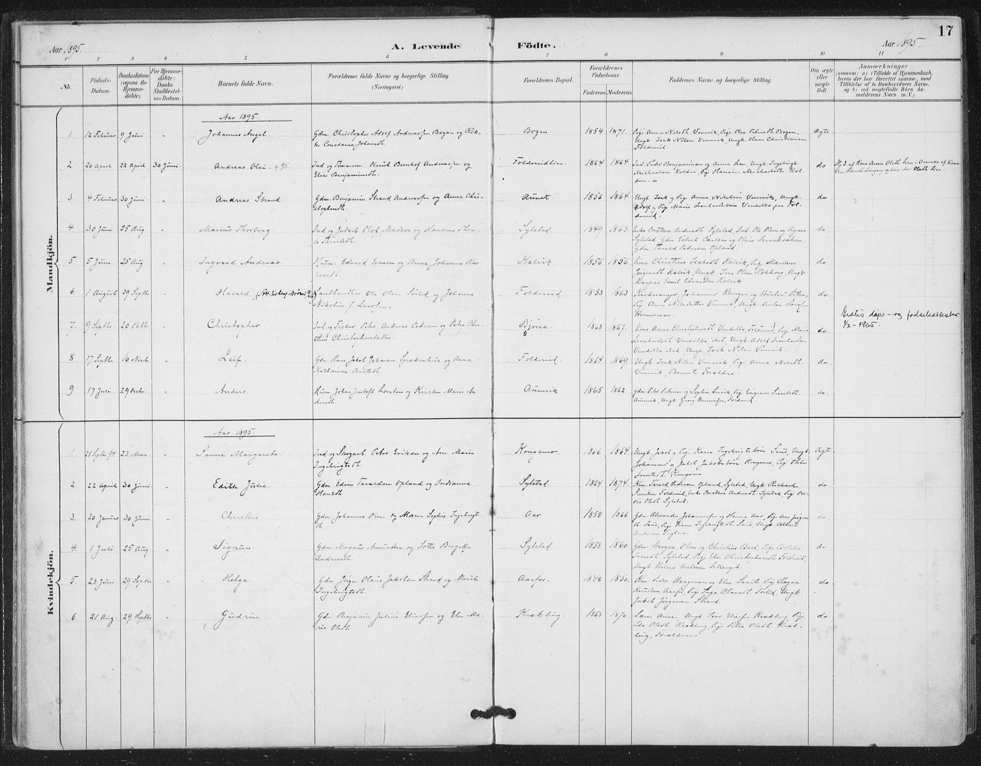 Ministerialprotokoller, klokkerbøker og fødselsregistre - Nord-Trøndelag, AV/SAT-A-1458/783/L0660: Parish register (official) no. 783A02, 1886-1918, p. 17