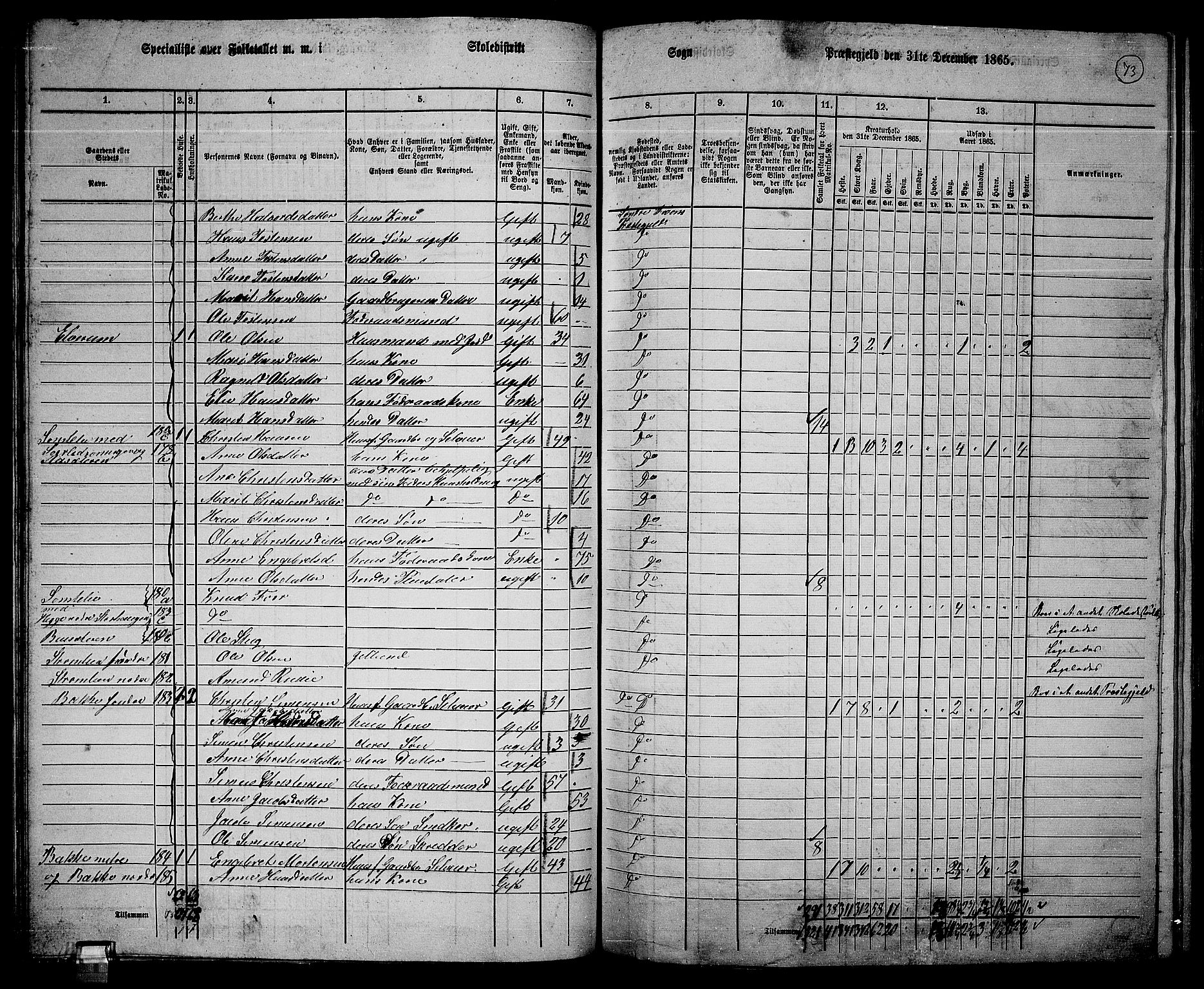 RA, 1865 census for Sør-Fron, 1865, p. 60