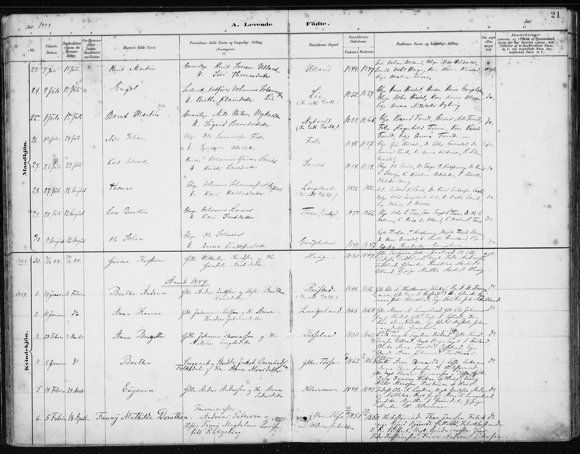 Samnanger Sokneprestembete, AV/SAB-A-77501/H/Haa: Parish register (official) no. A 1, 1885-1901, p. 21