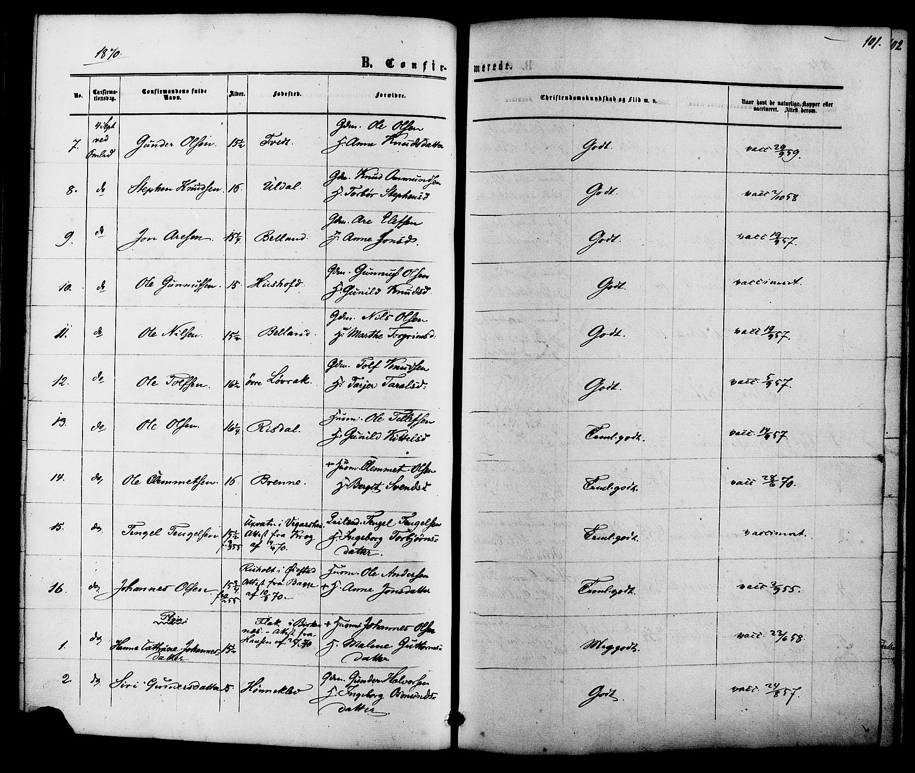 Herefoss sokneprestkontor, AV/SAK-1111-0019/F/Fb/Fbc/L0002: Parish register (copy) no. B 2, 1867-1886, p. 101