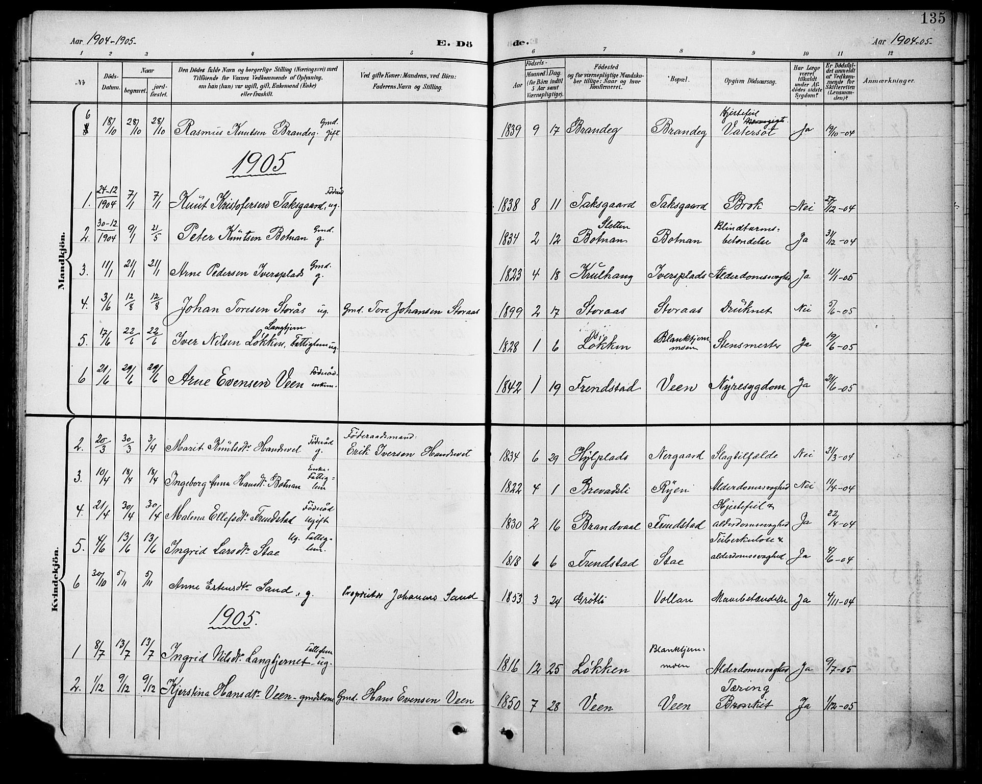 Kvikne prestekontor, SAH/PREST-064/H/Ha/Hab/L0003: Parish register (copy) no. 3, 1896-1918, p. 135