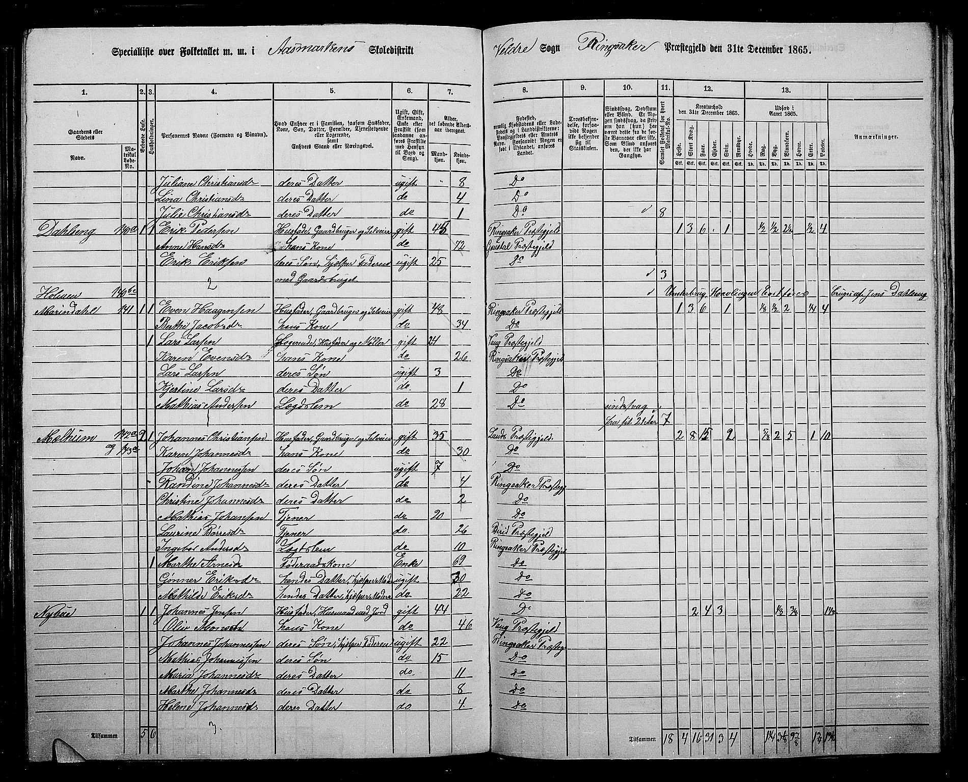 RA, 1865 census for Ringsaker, 1865, p. 209