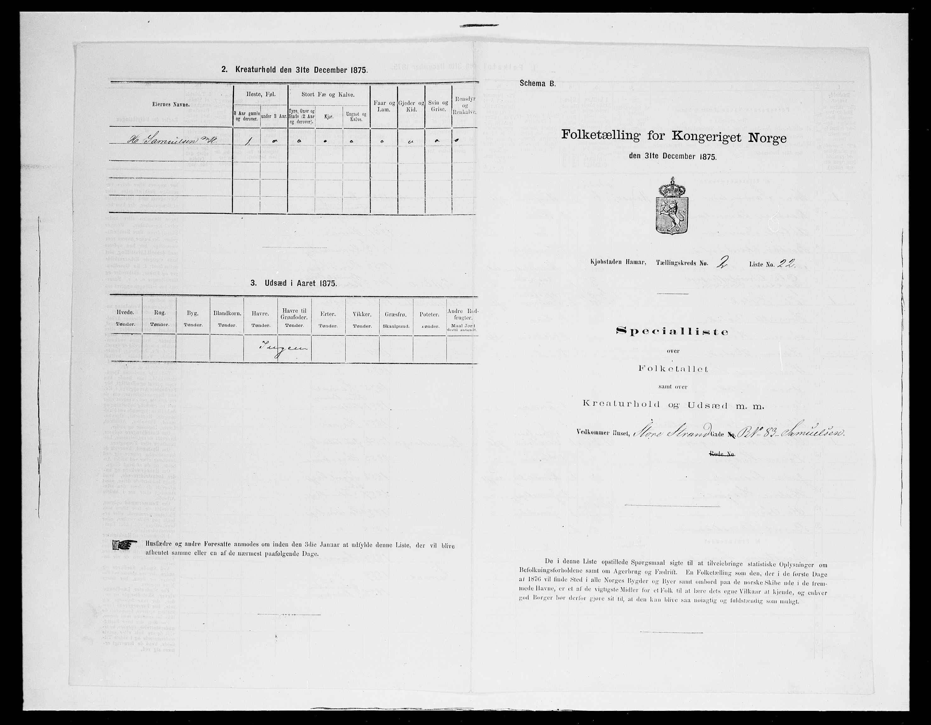 SAH, 1875 census for 0401B Vang/Hamar, 1875, p. 196