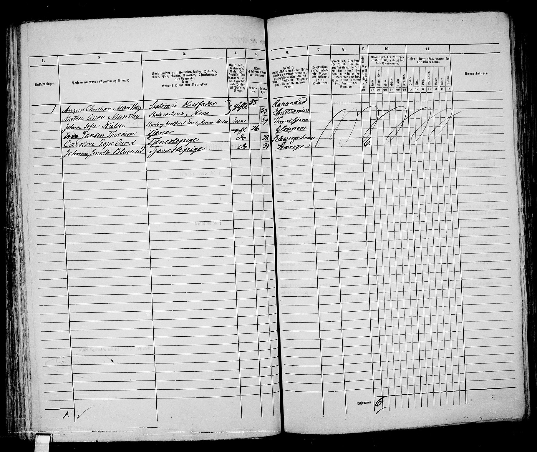 RA, 1865 census for Kristiania, 1865, p. 2445