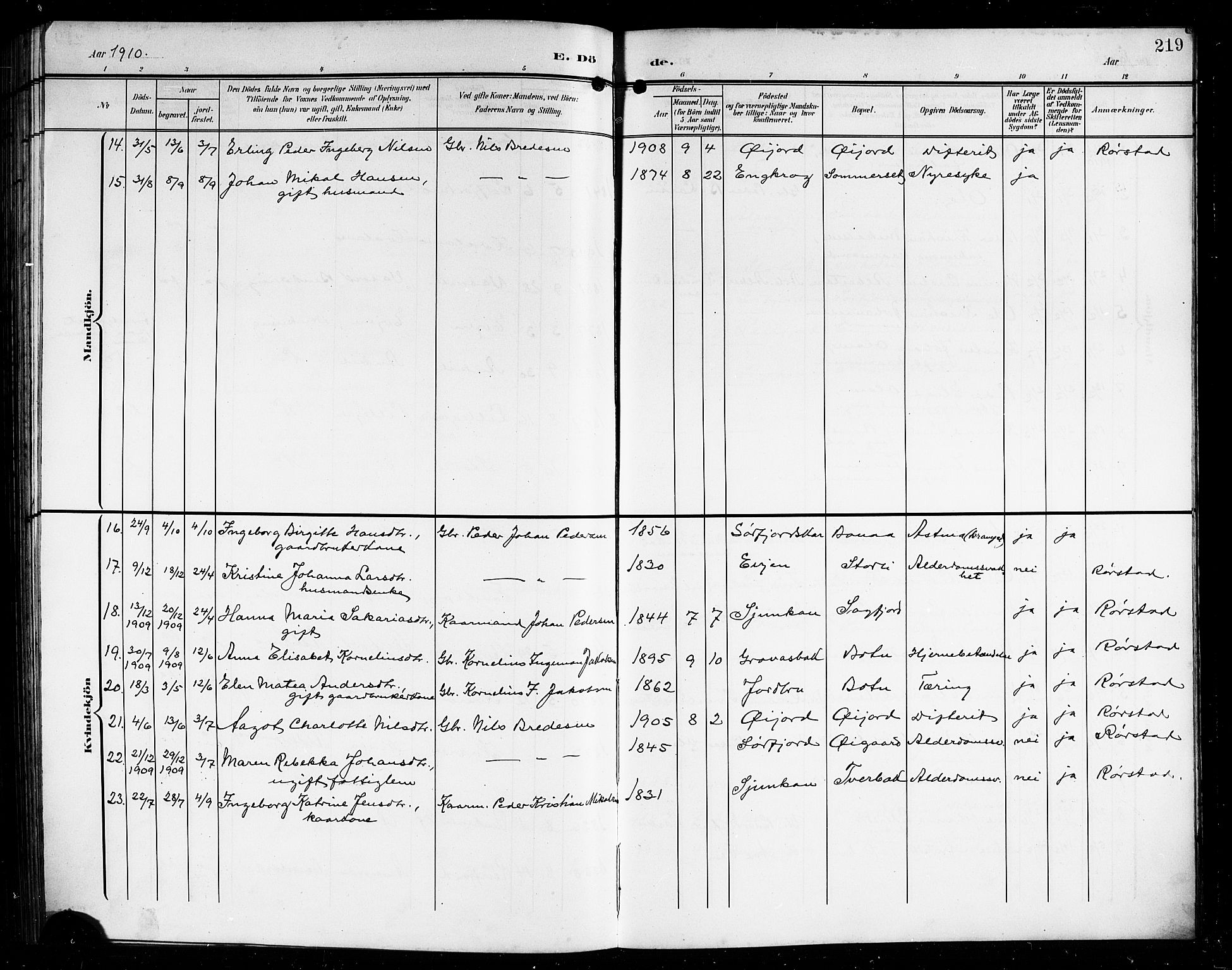 Ministerialprotokoller, klokkerbøker og fødselsregistre - Nordland, AV/SAT-A-1459/854/L0786: Parish register (copy) no. 854C02, 1901-1912, p. 219