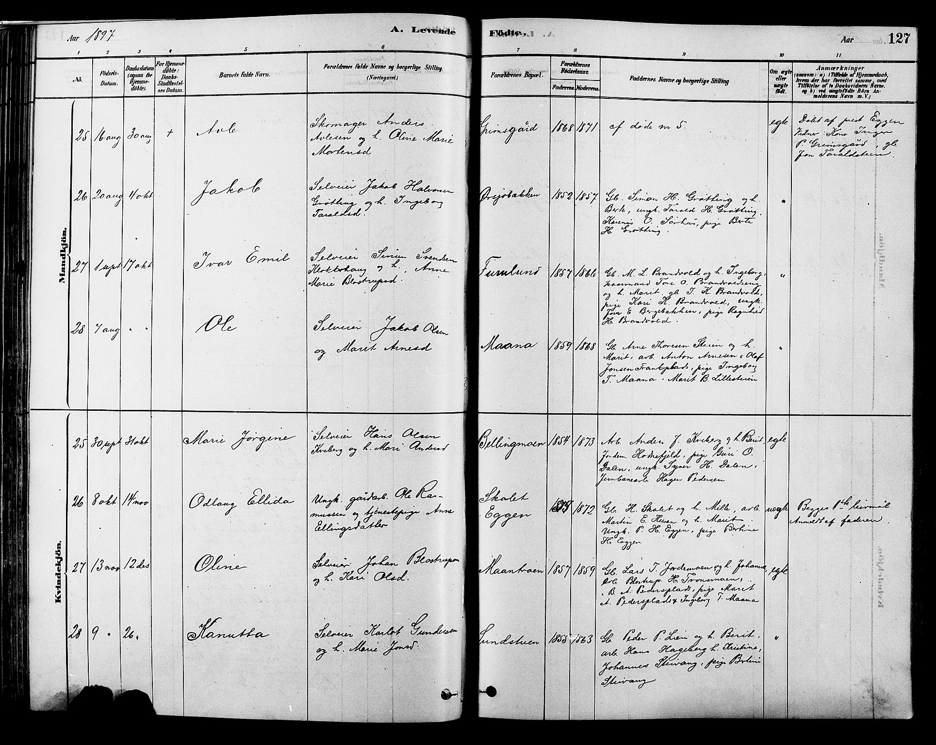 Alvdal prestekontor, SAH/PREST-060/H/Ha/Hab/L0003: Parish register (copy) no. 3, 1878-1907, p. 127