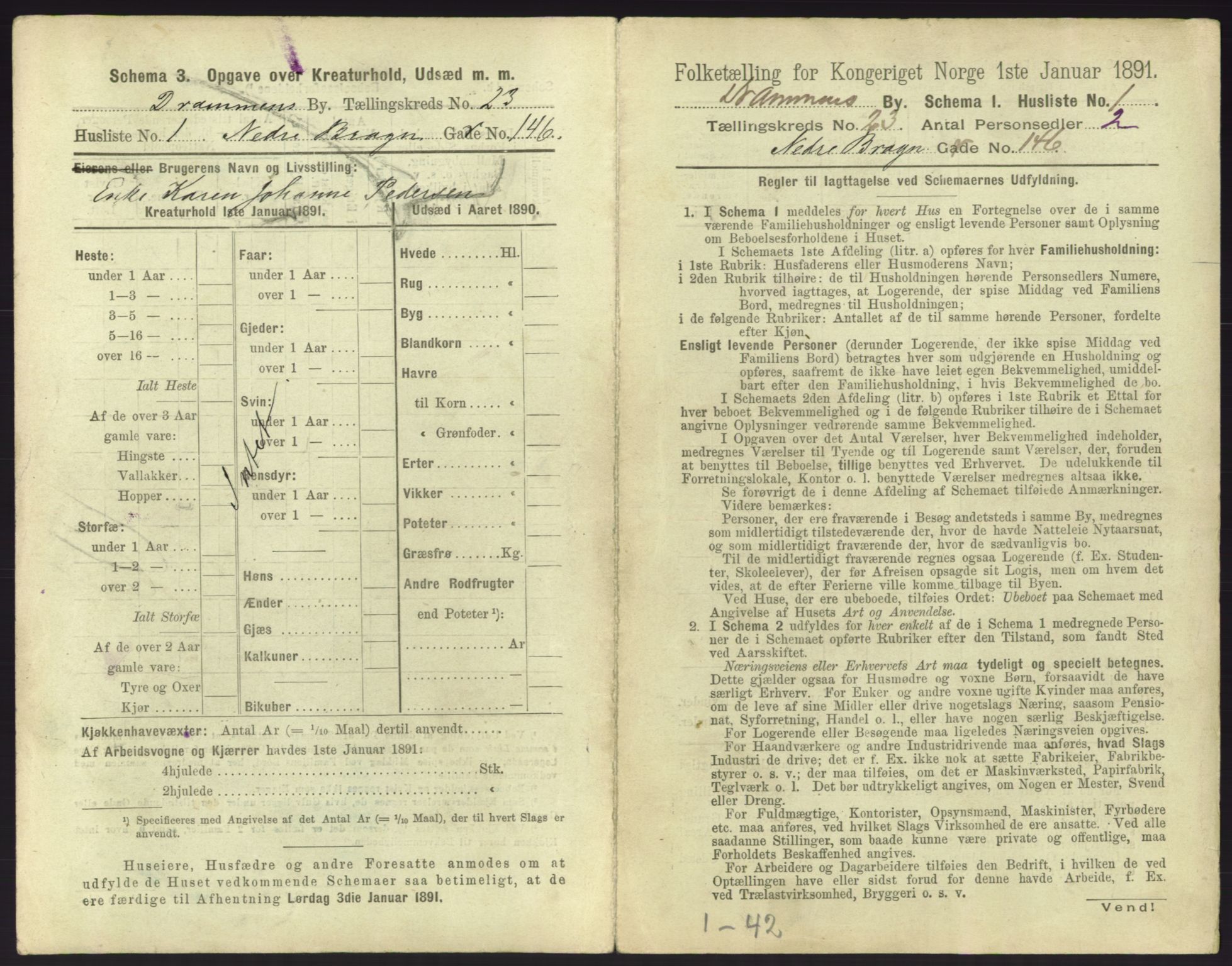 RA, 1891 census for 0602 Drammen, 1891, p. 1909