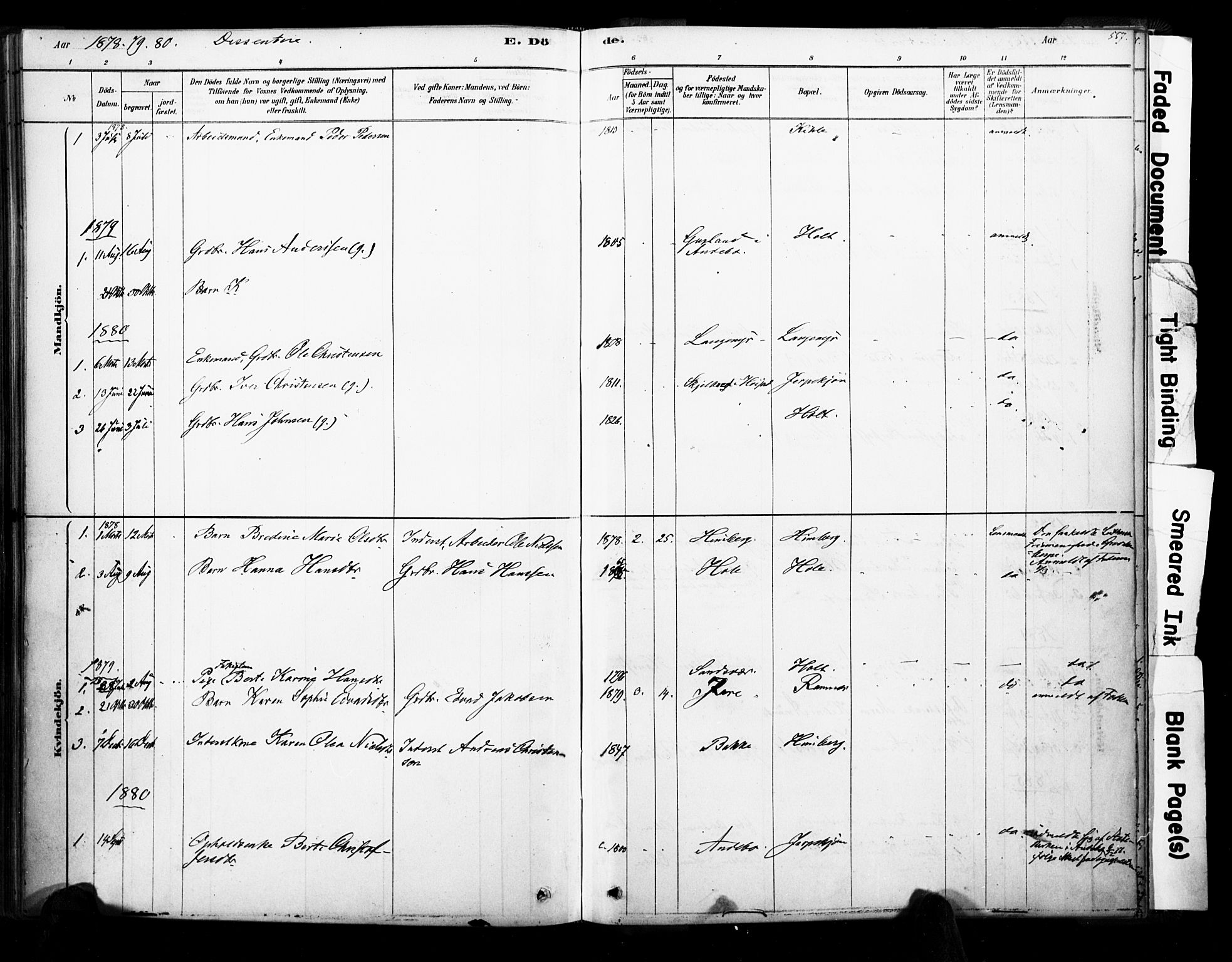 Ramnes kirkebøker, AV/SAKO-A-314/F/Fa/L0007: Parish register (official) no. I 7, 1878-1895, p. 556-557