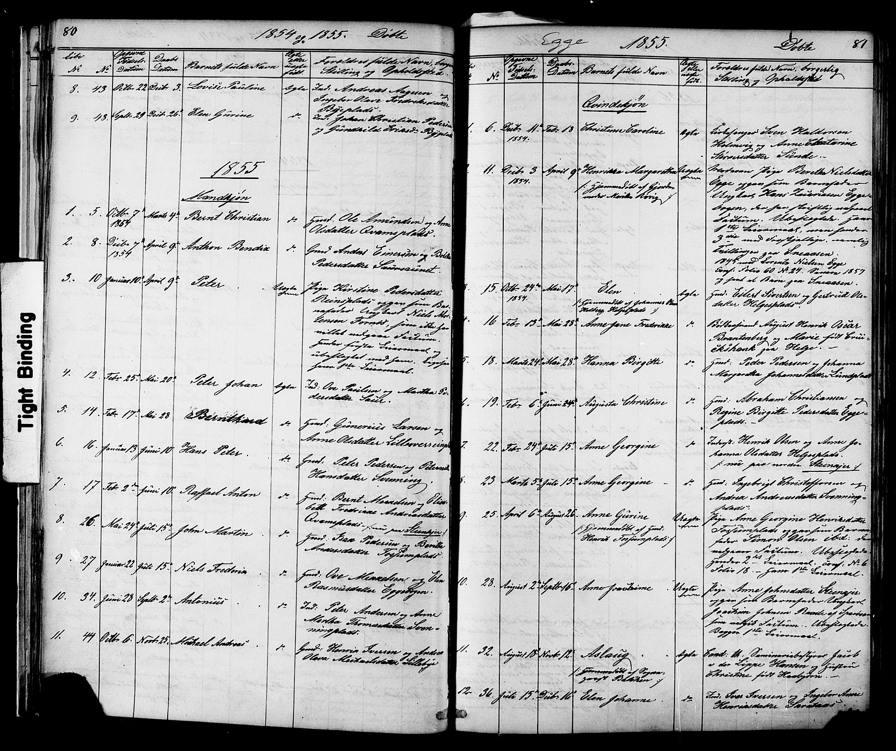 Ministerialprotokoller, klokkerbøker og fødselsregistre - Nord-Trøndelag, SAT/A-1458/739/L0367: Parish register (official) no. 739A01 /3, 1838-1868, p. 80-81