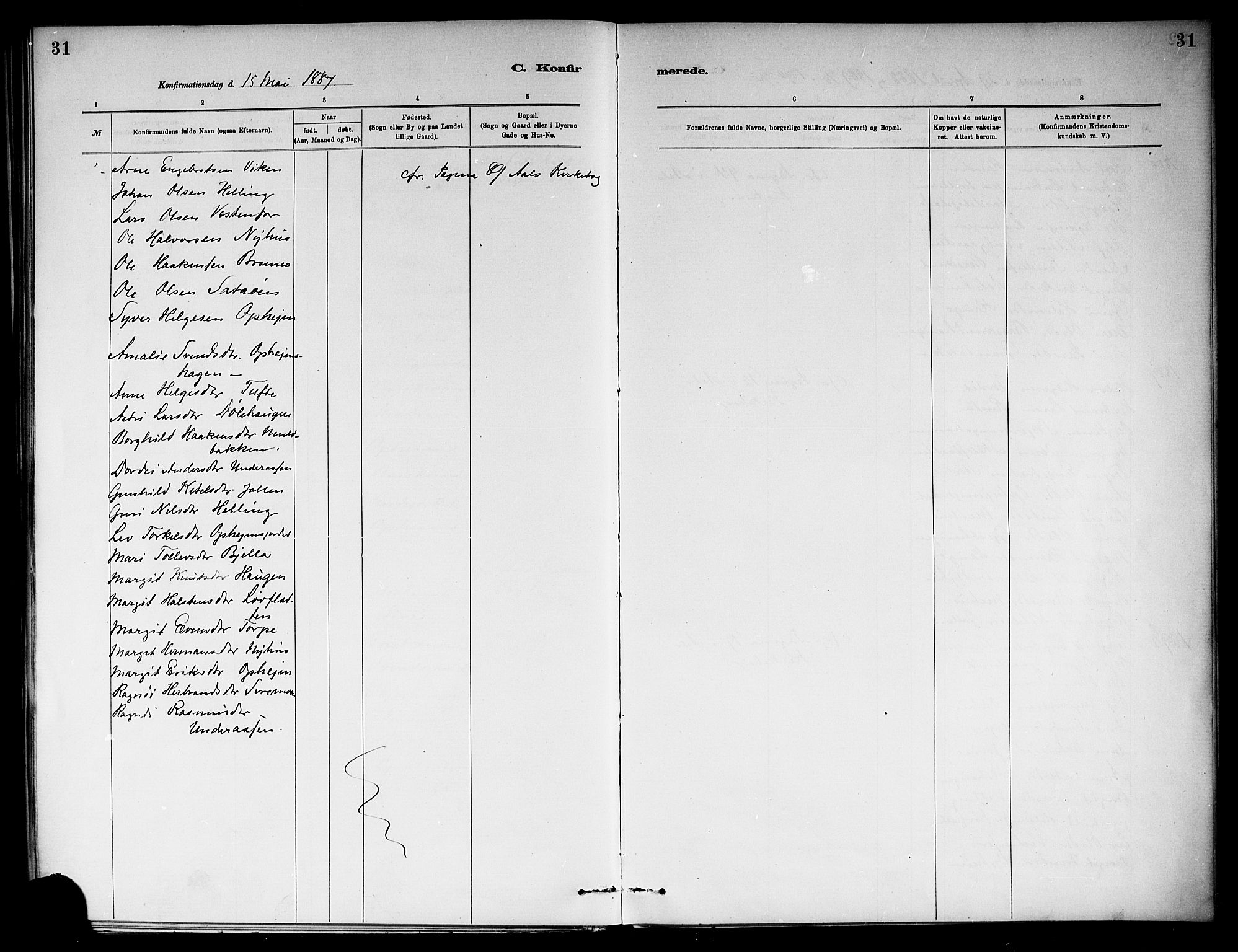 Ål kirkebøker, SAKO/A-249/F/Fb/L0001: Parish register (official) no. II 1, 1882-1899, p. 31