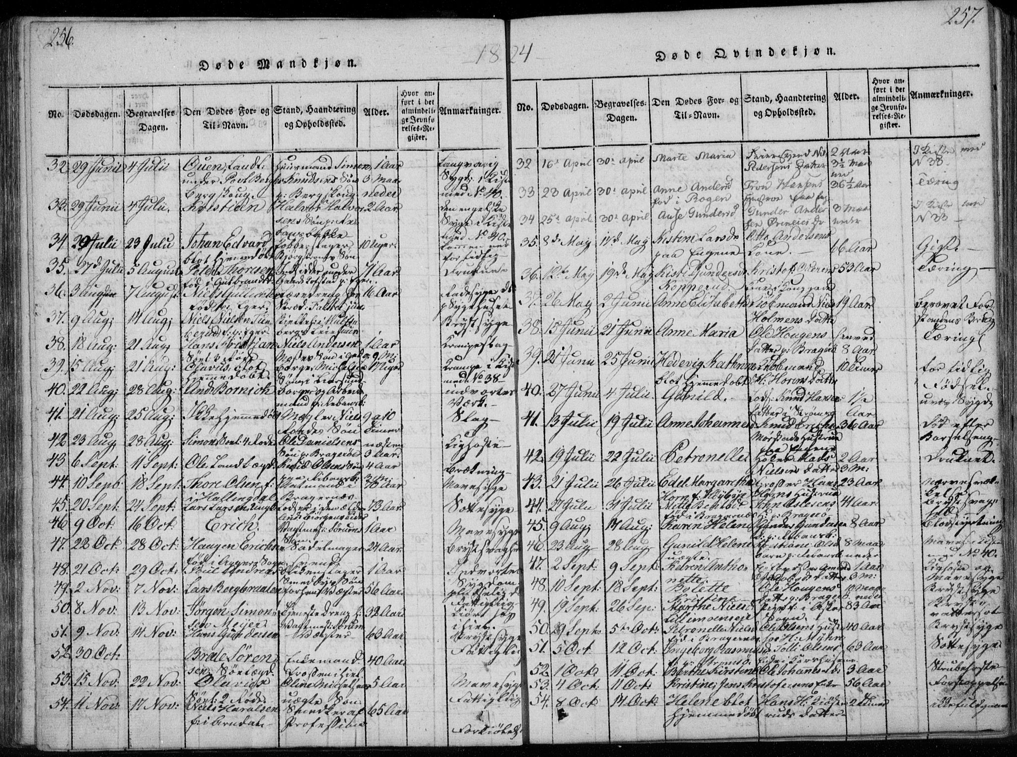 Bragernes kirkebøker, AV/SAKO-A-6/F/Fa/L0007: Parish register (official) no. I 7, 1815-1829, p. 256-257