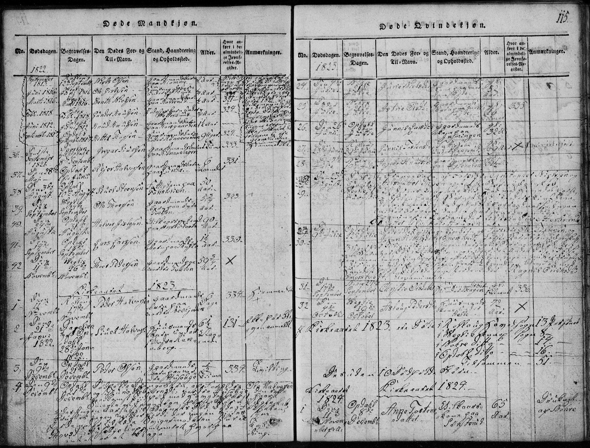 Rollag kirkebøker, SAKO/A-240/G/Ga/L0001: Parish register (copy) no. I 1, 1814-1831, p. 115