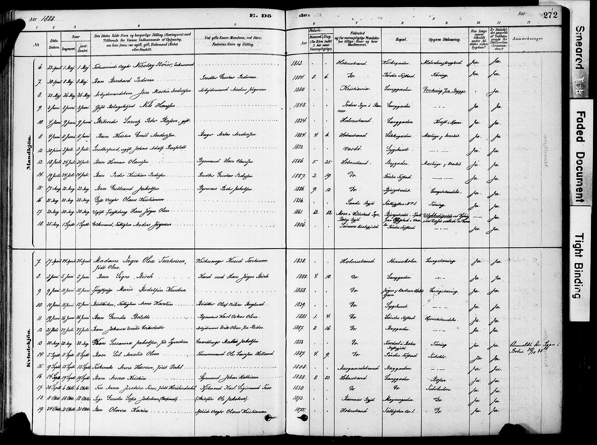 Holmestrand kirkebøker, AV/SAKO-A-346/F/Fa/L0004: Parish register (official) no. 4, 1880-1901, p. 272