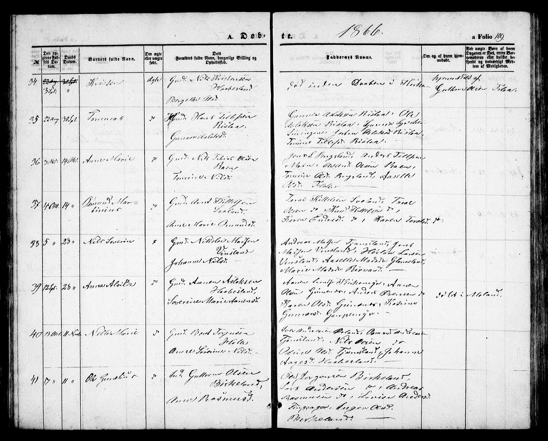 Birkenes sokneprestkontor, AV/SAK-1111-0004/F/Fb/L0002: Parish register (copy) no. B 2, 1849-1876, p. 109