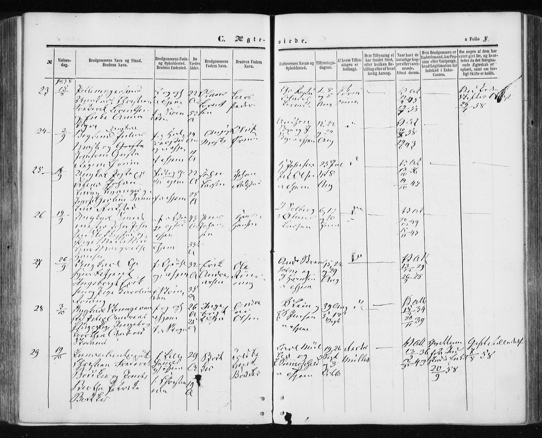 Ministerialprotokoller, klokkerbøker og fødselsregistre - Sør-Trøndelag, AV/SAT-A-1456/601/L0053: Parish register (official) no. 601A21, 1857-1865, p. 8