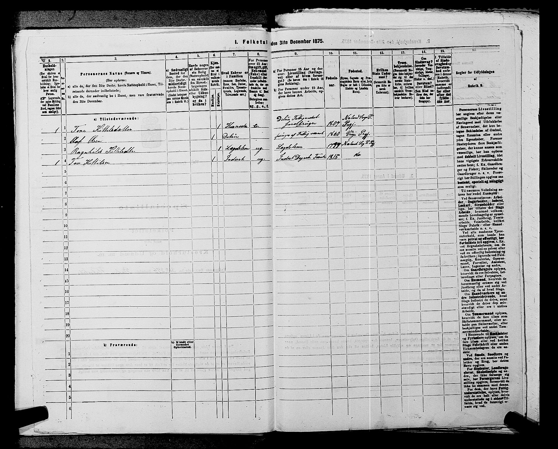 SAKO, 1875 census for 0834P Vinje, 1875, p. 218