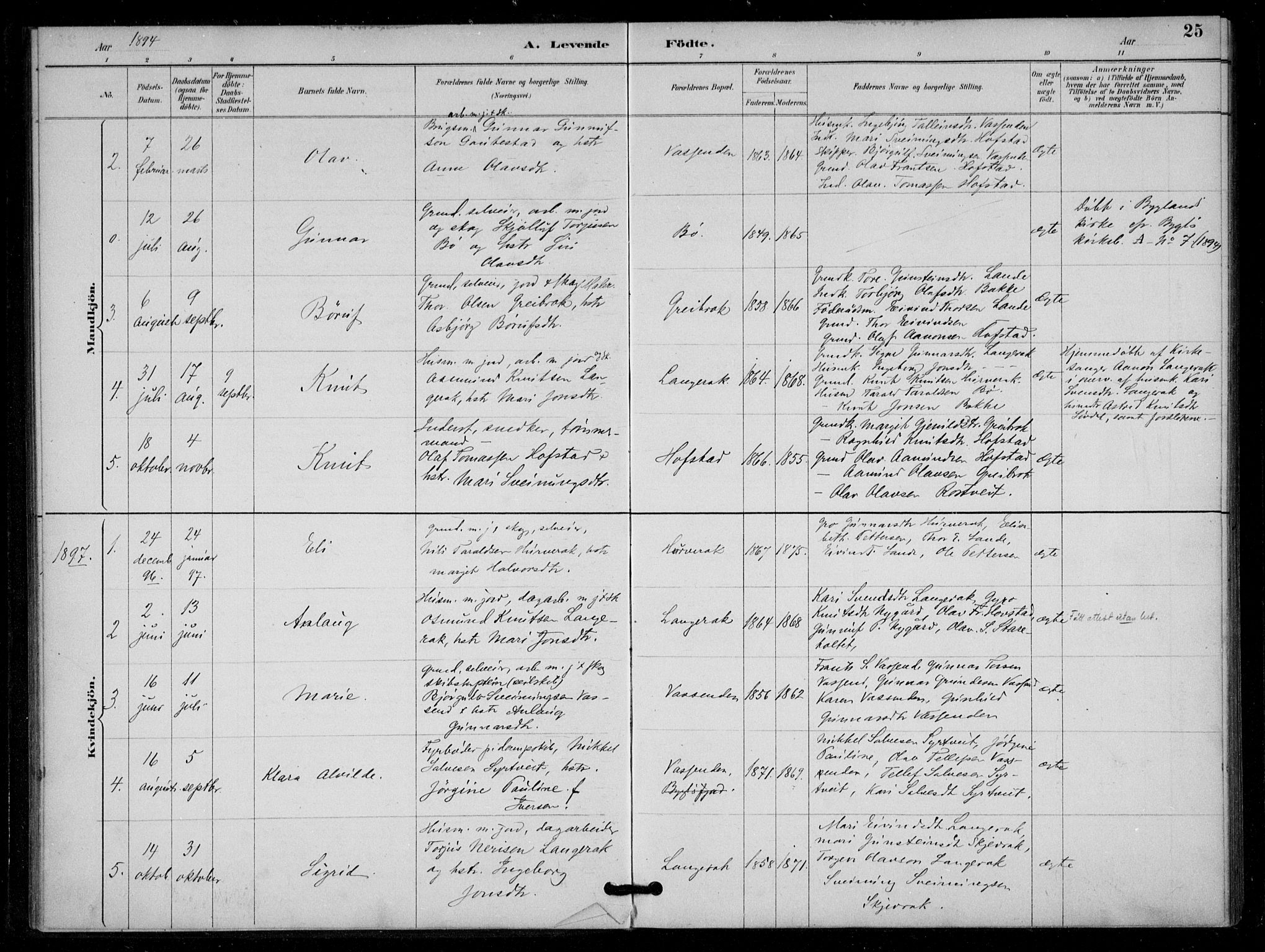 Bygland sokneprestkontor, SAK/1111-0006/F/Fa/Fad/L0001: Parish register (official) no. A 1, 1885-1906, p. 25