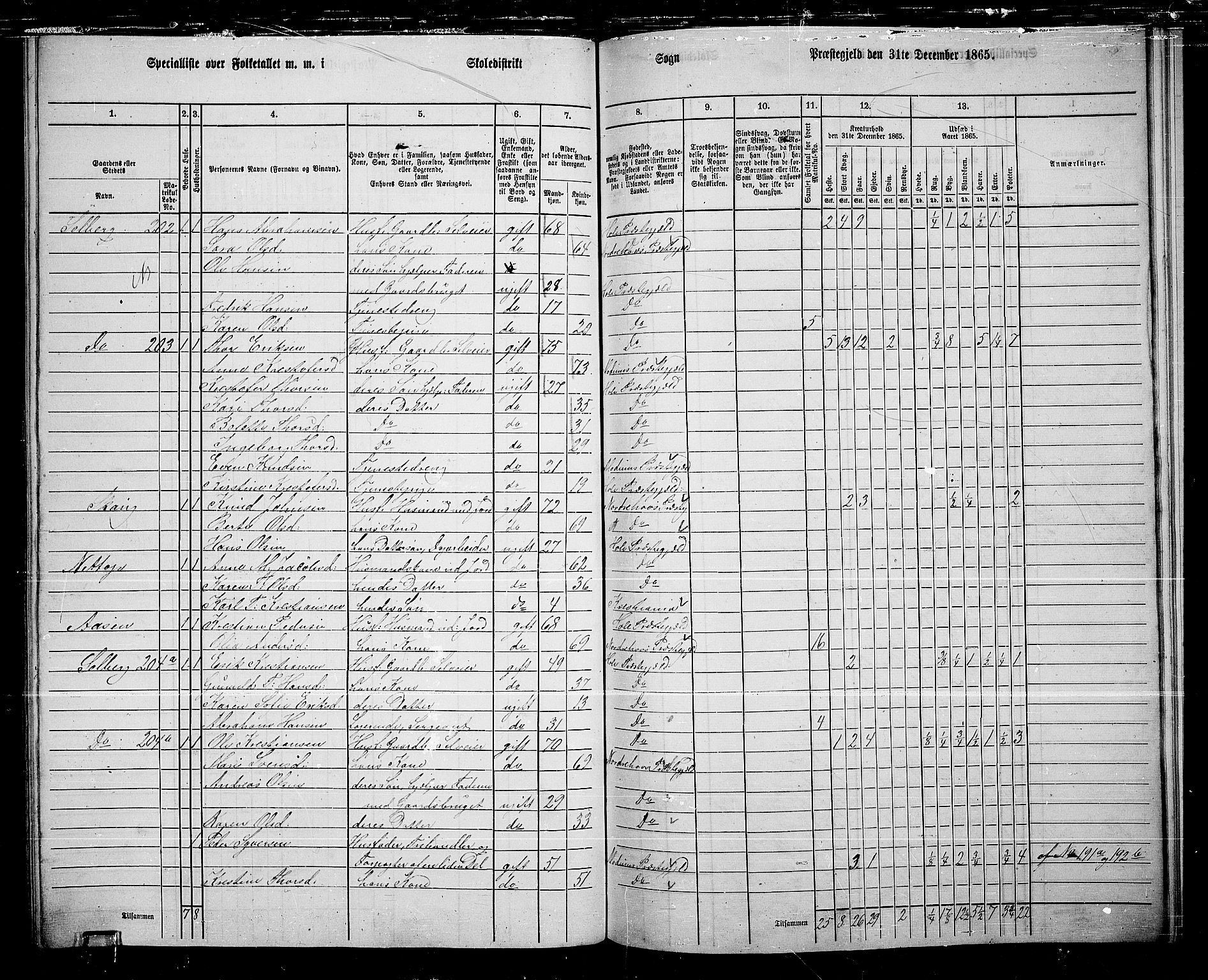 RA, 1865 census for Hole, 1865, p. 137