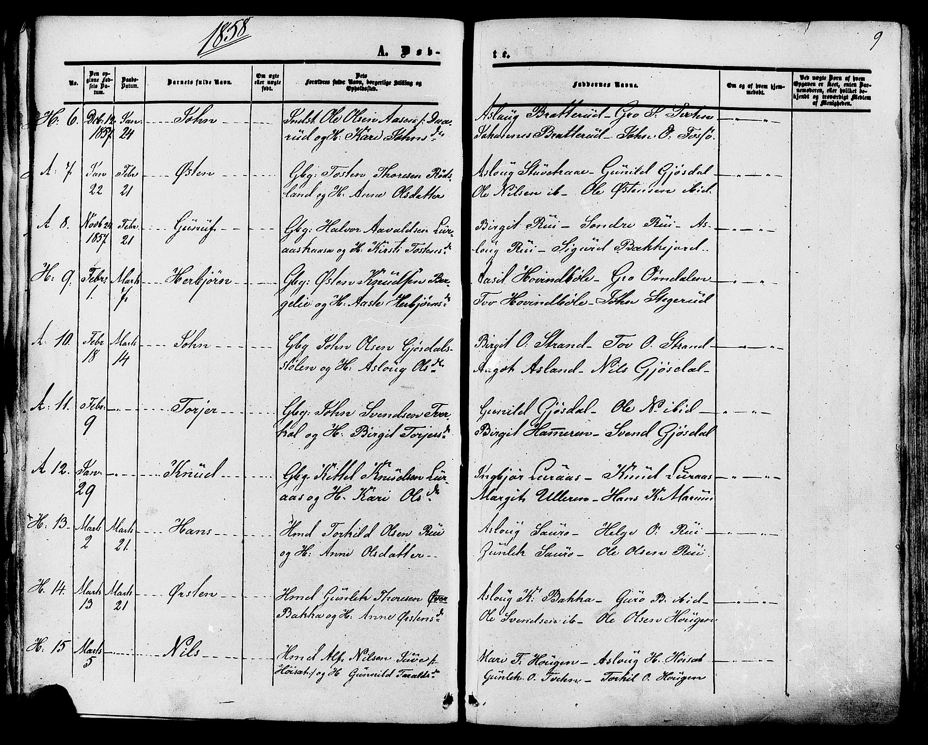 Tinn kirkebøker, AV/SAKO-A-308/F/Fa/L0006: Parish register (official) no. I 6, 1857-1878, p. 9