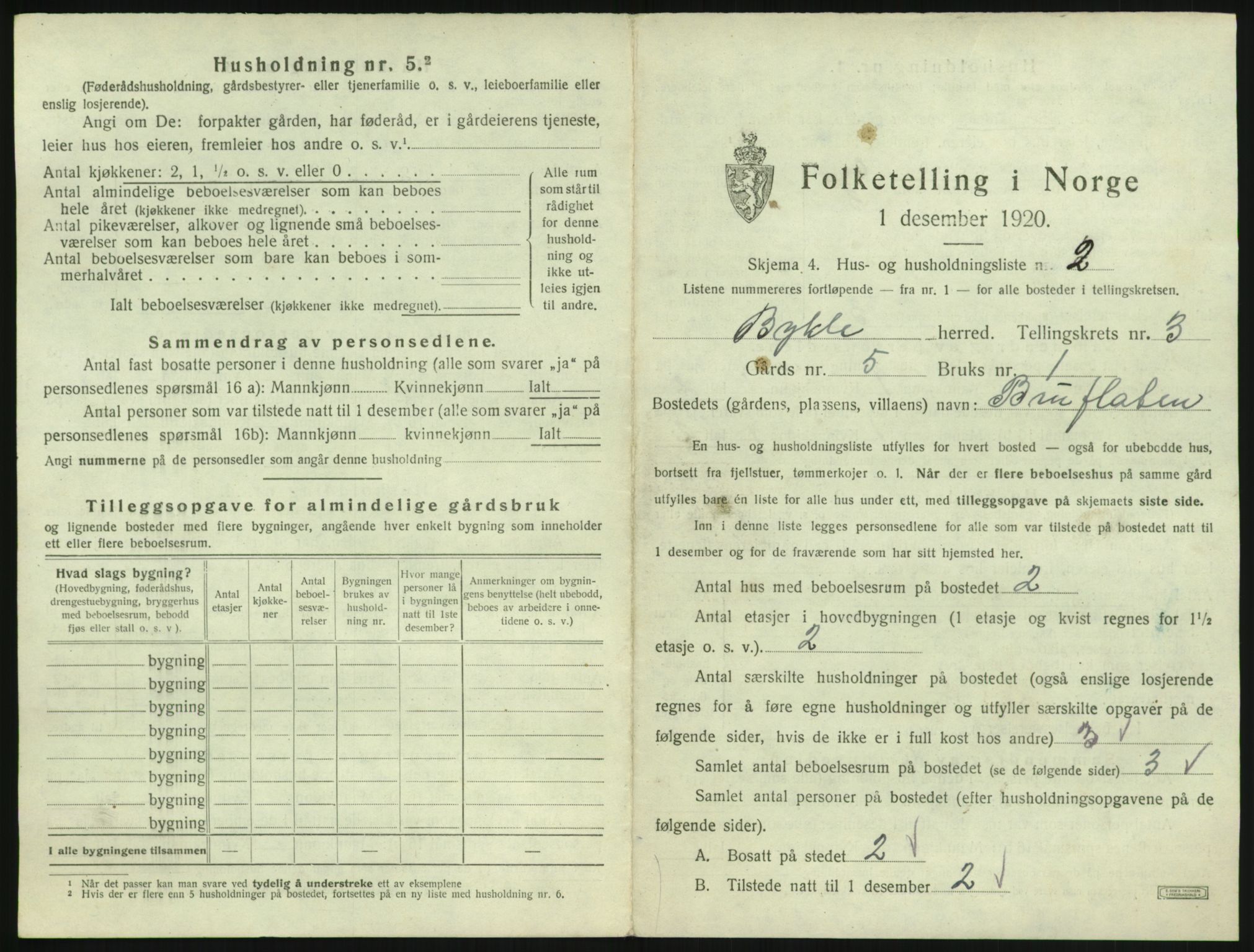 SAK, 1920 census for Bykle, 1920, p. 163