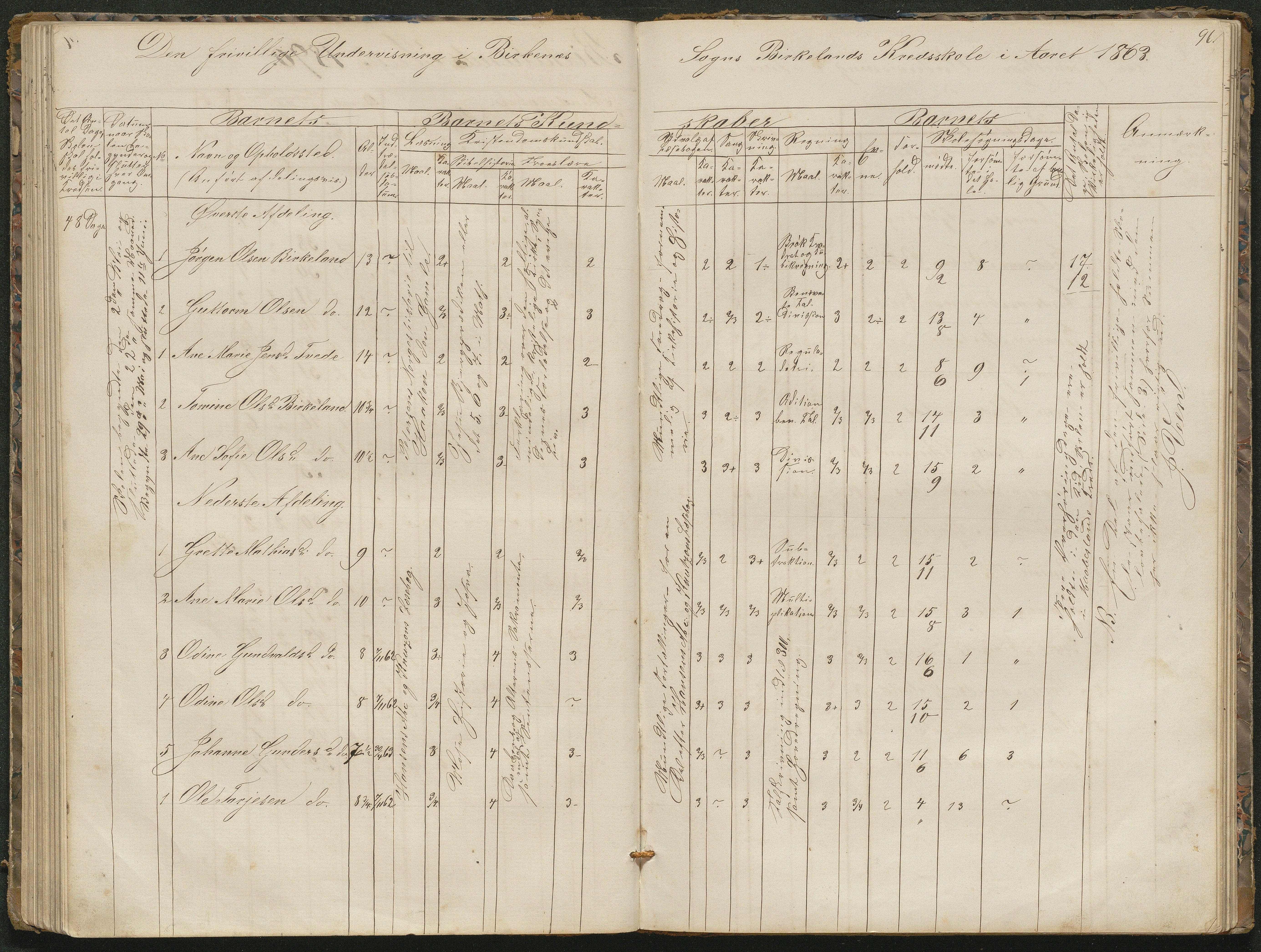 Birkenes kommune, Birkenes krets/Birkeland folkeskole frem til 1991, AAKS/KA0928-550a_91/F02/L0001: Skoleprotokoll, 1862-1896, p. 96