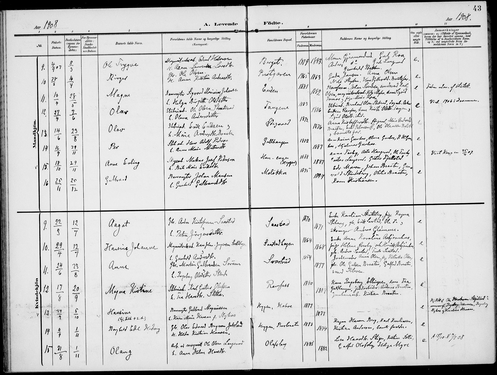 Modum kirkebøker, SAKO/A-234/F/Fa/L0019: Parish register (official) no. 19, 1890-1914, p. 43