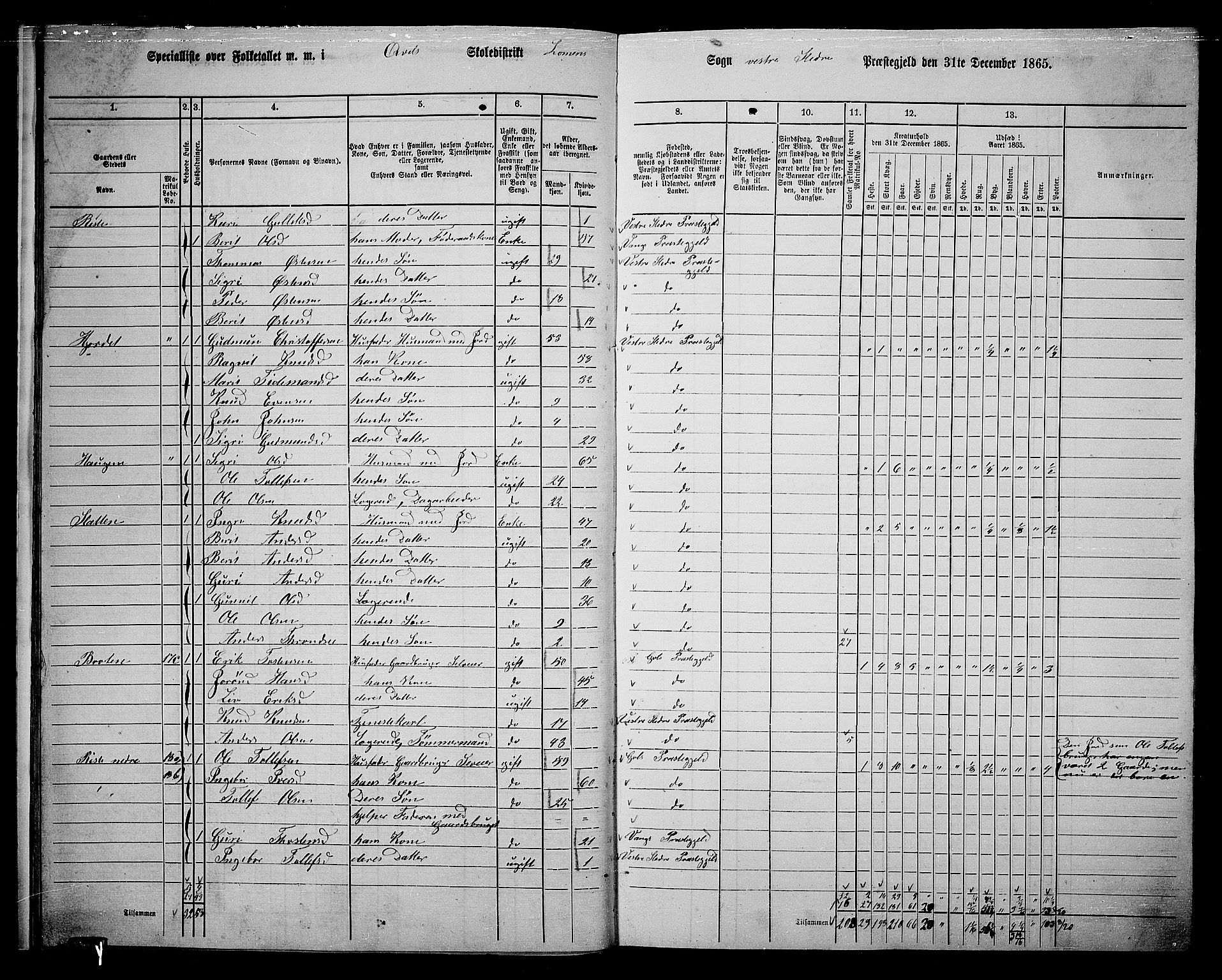 RA, 1865 census for Vestre Slidre, 1865, p. 17