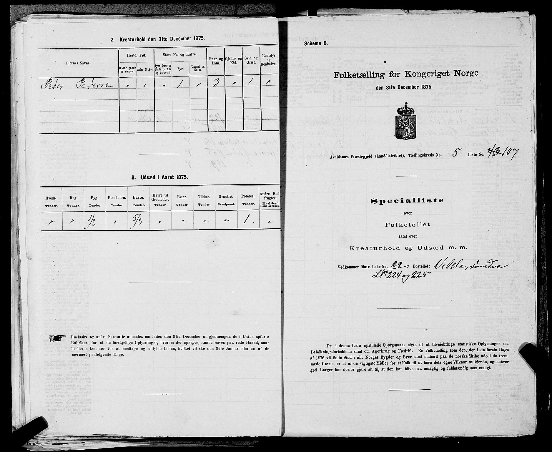 SAST, 1875 census for 1147L Avaldsnes/Avaldsnes og Kopervik, 1875, p. 887