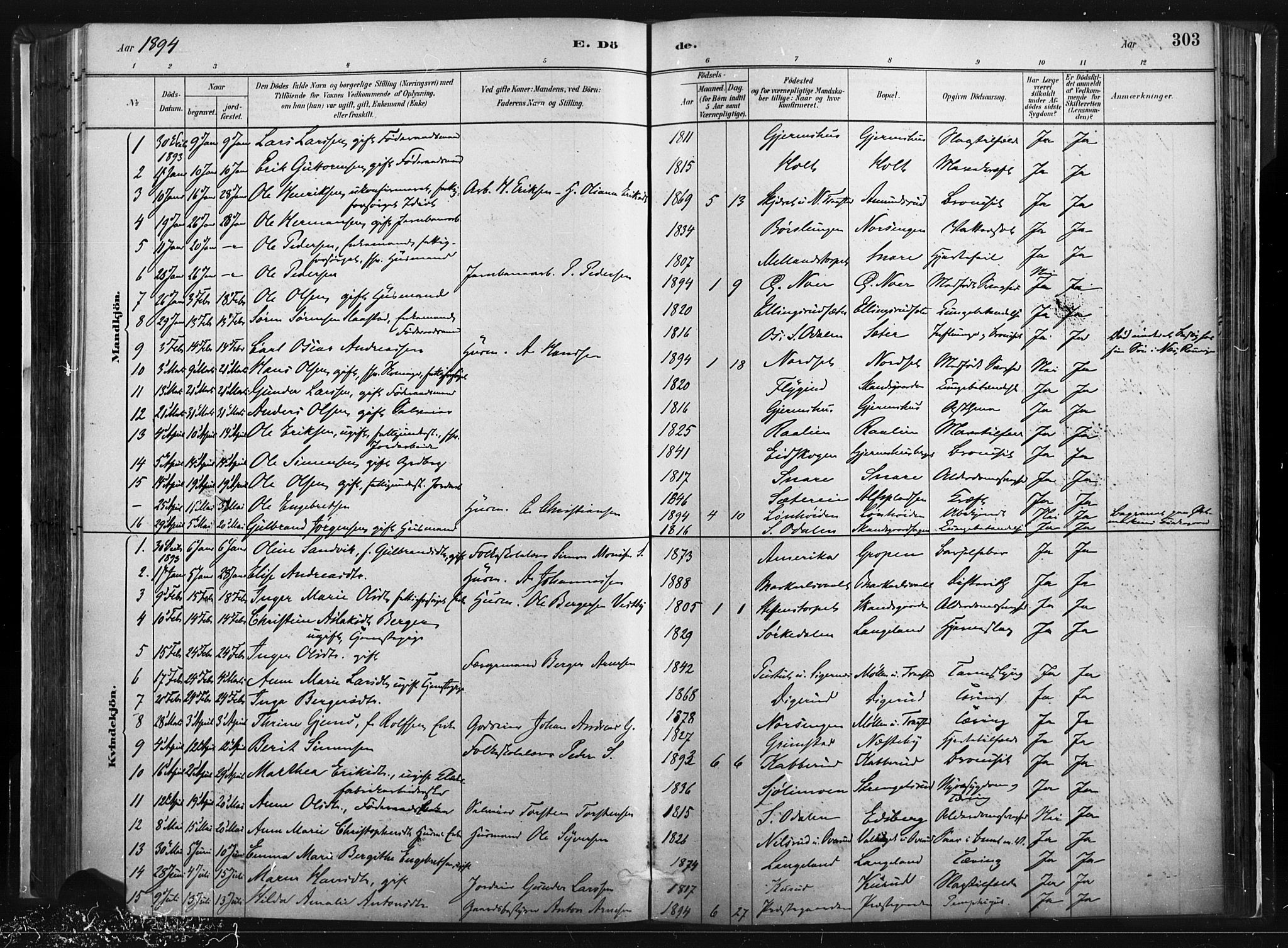 Vinger prestekontor, SAH/PREST-024/H/Ha/Haa/L0014: Parish register (official) no. 14, 1881-1900, p. 303