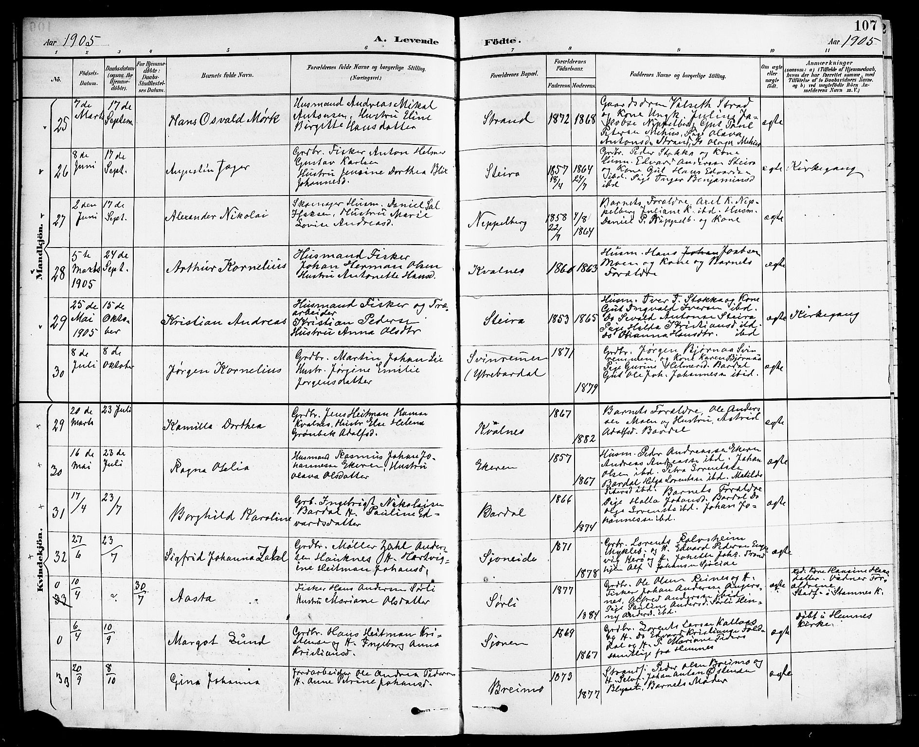 Ministerialprotokoller, klokkerbøker og fødselsregistre - Nordland, AV/SAT-A-1459/838/L0559: Parish register (copy) no. 838C06, 1893-1910, p. 107