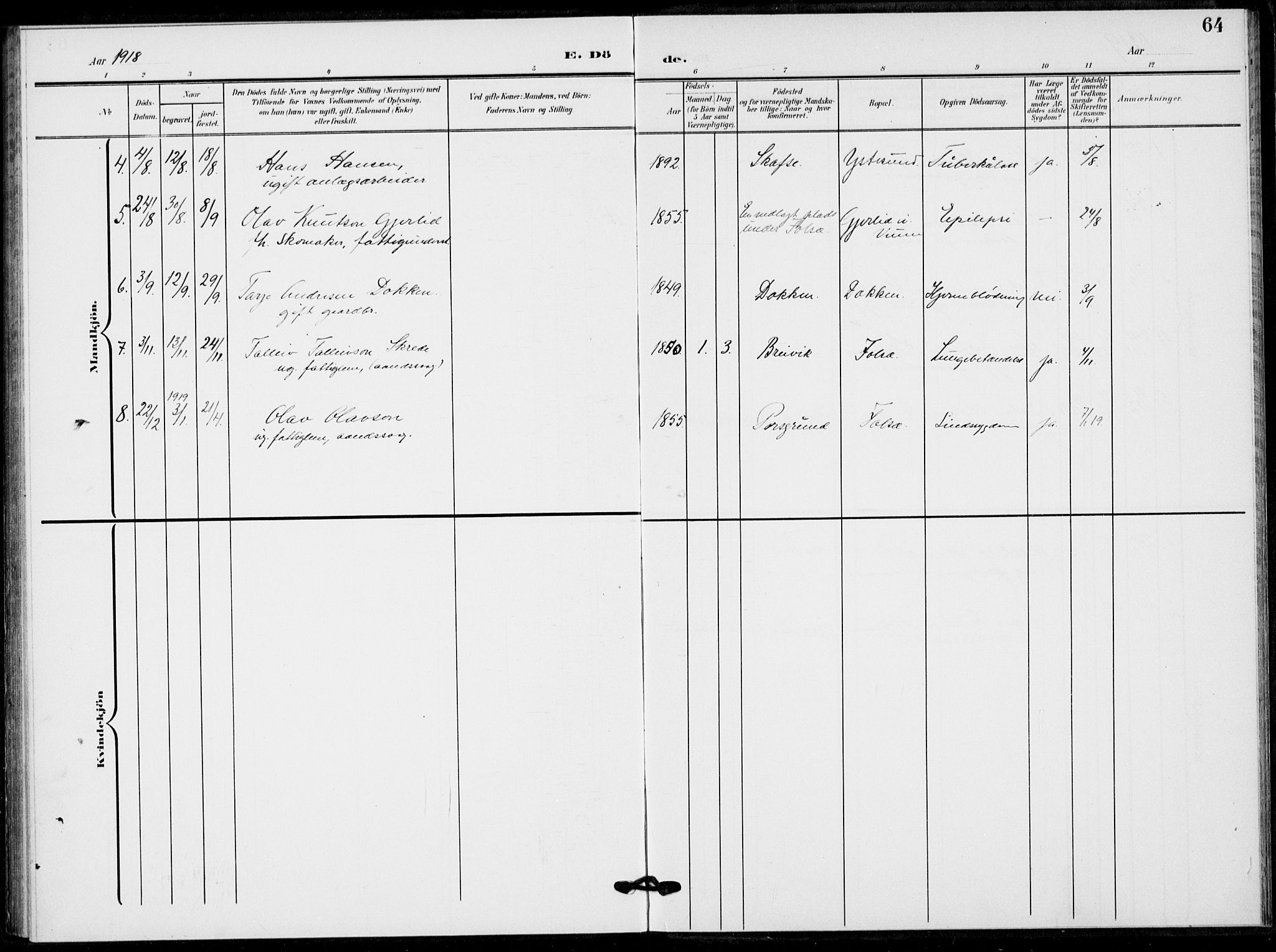 Fyresdal kirkebøker, SAKO/A-263/F/Fb/L0004: Parish register (official) no. II 4, 1903-1920, p. 64