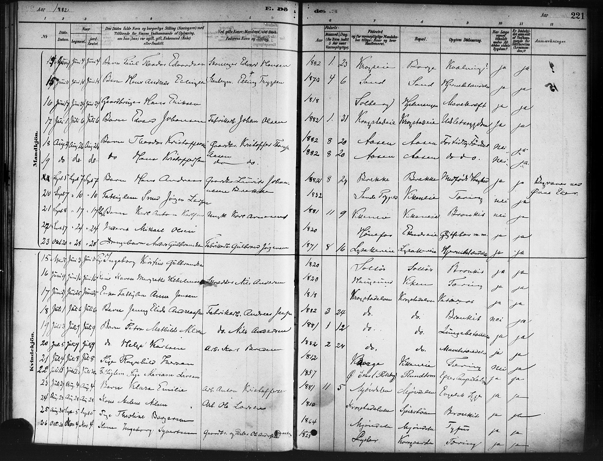 Nedre Eiker kirkebøker, AV/SAKO-A-612/F/Fa/L0002: Parish register (official) no. 2, 1878-1885, p. 221