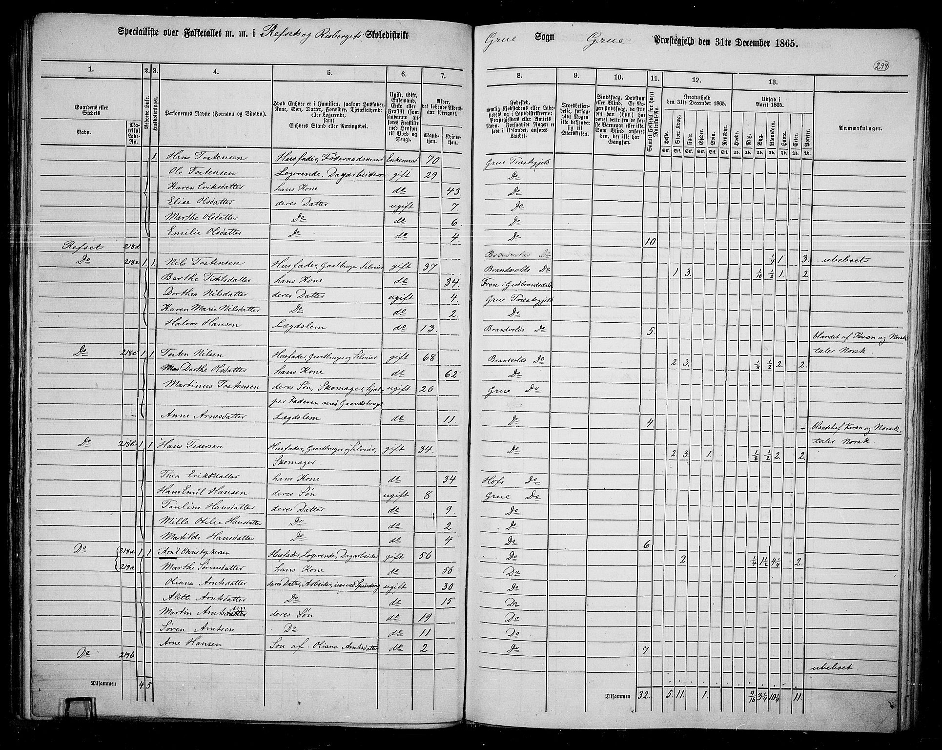 RA, 1865 census for Grue, 1865, p. 262