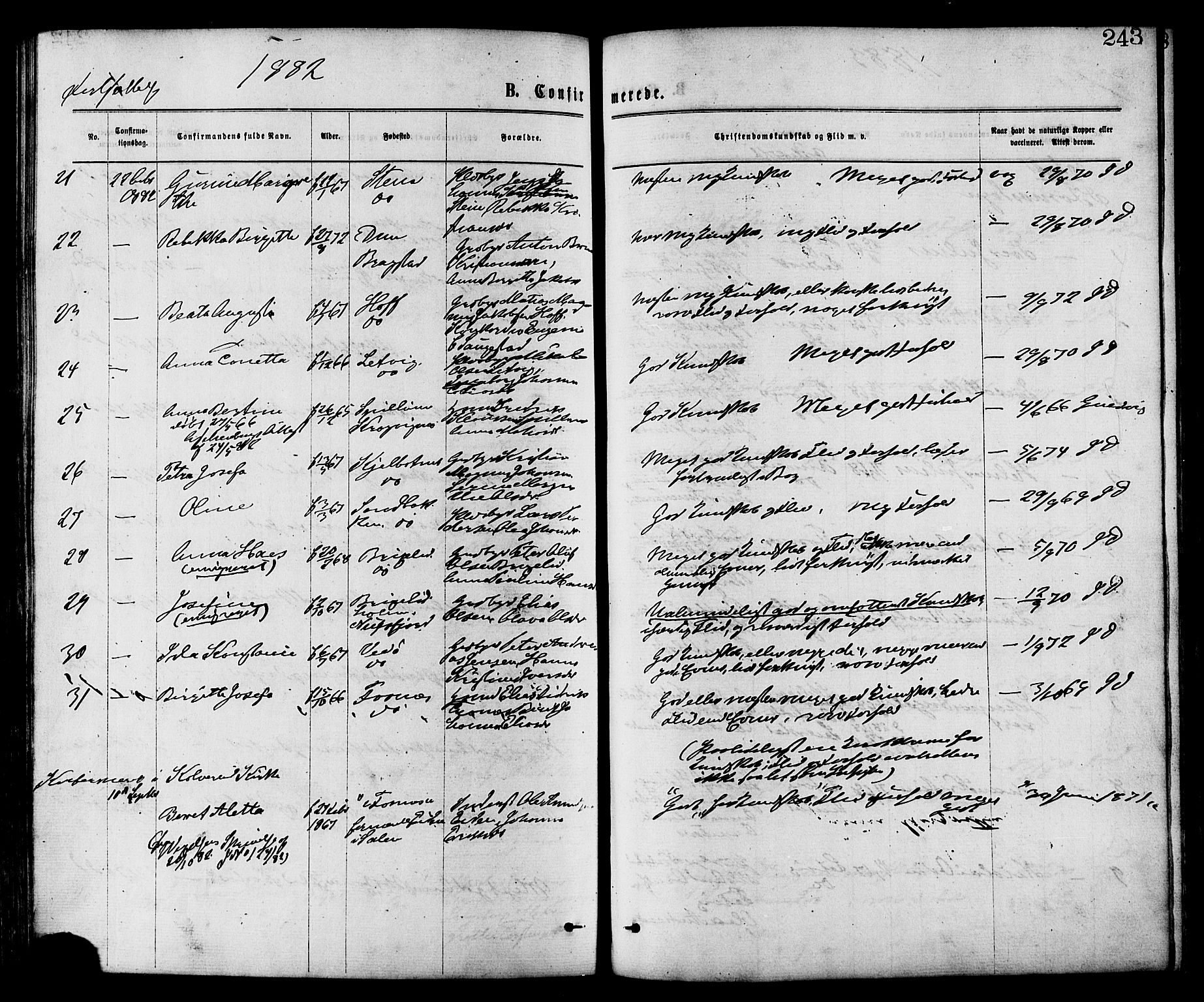 Ministerialprotokoller, klokkerbøker og fødselsregistre - Nord-Trøndelag, AV/SAT-A-1458/773/L0616: Parish register (official) no. 773A07, 1870-1887, p. 243