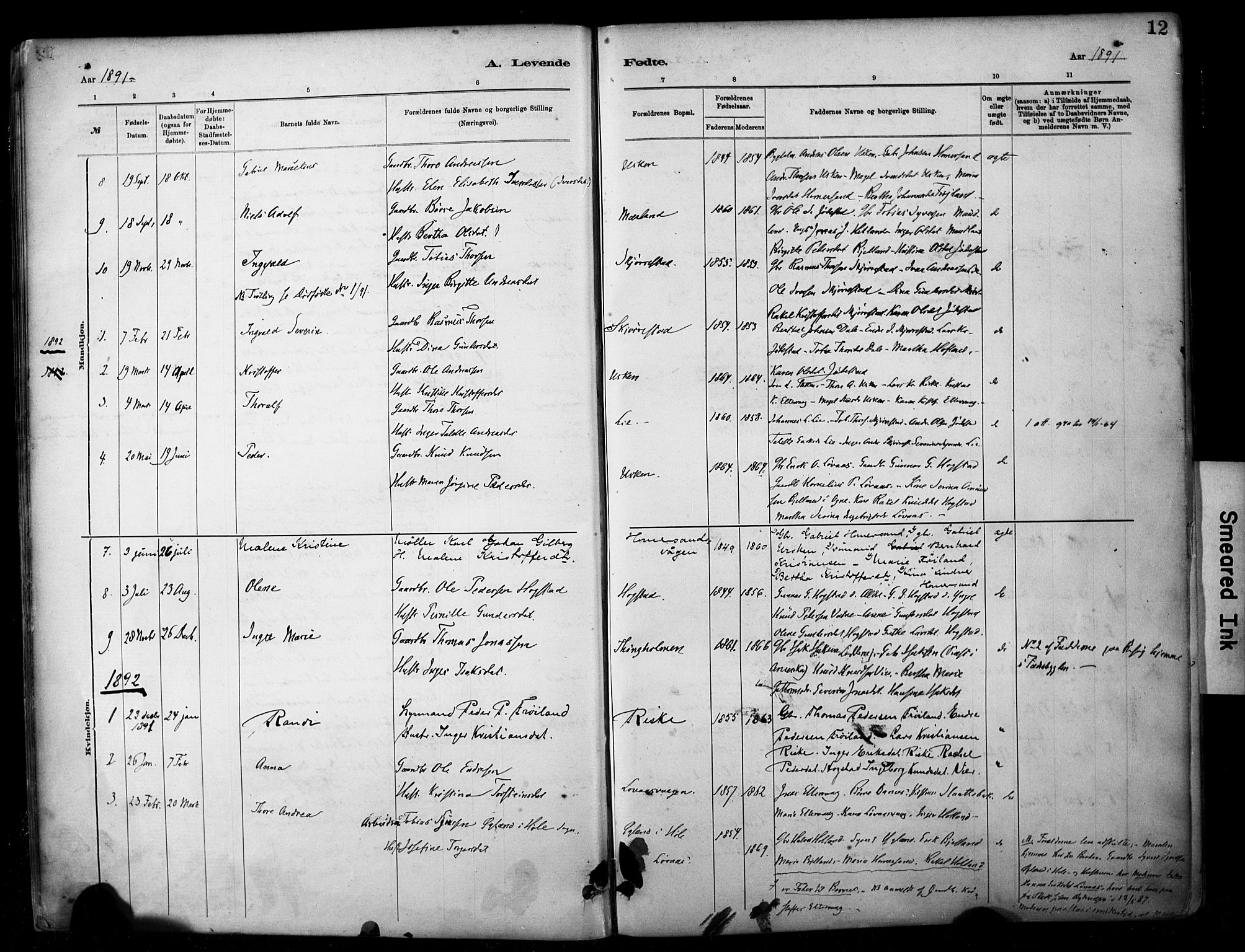 Hetland sokneprestkontor, SAST/A-101826/30/30BA/L0010: Parish register (official) no. A 10, 1882-1925, p. 12