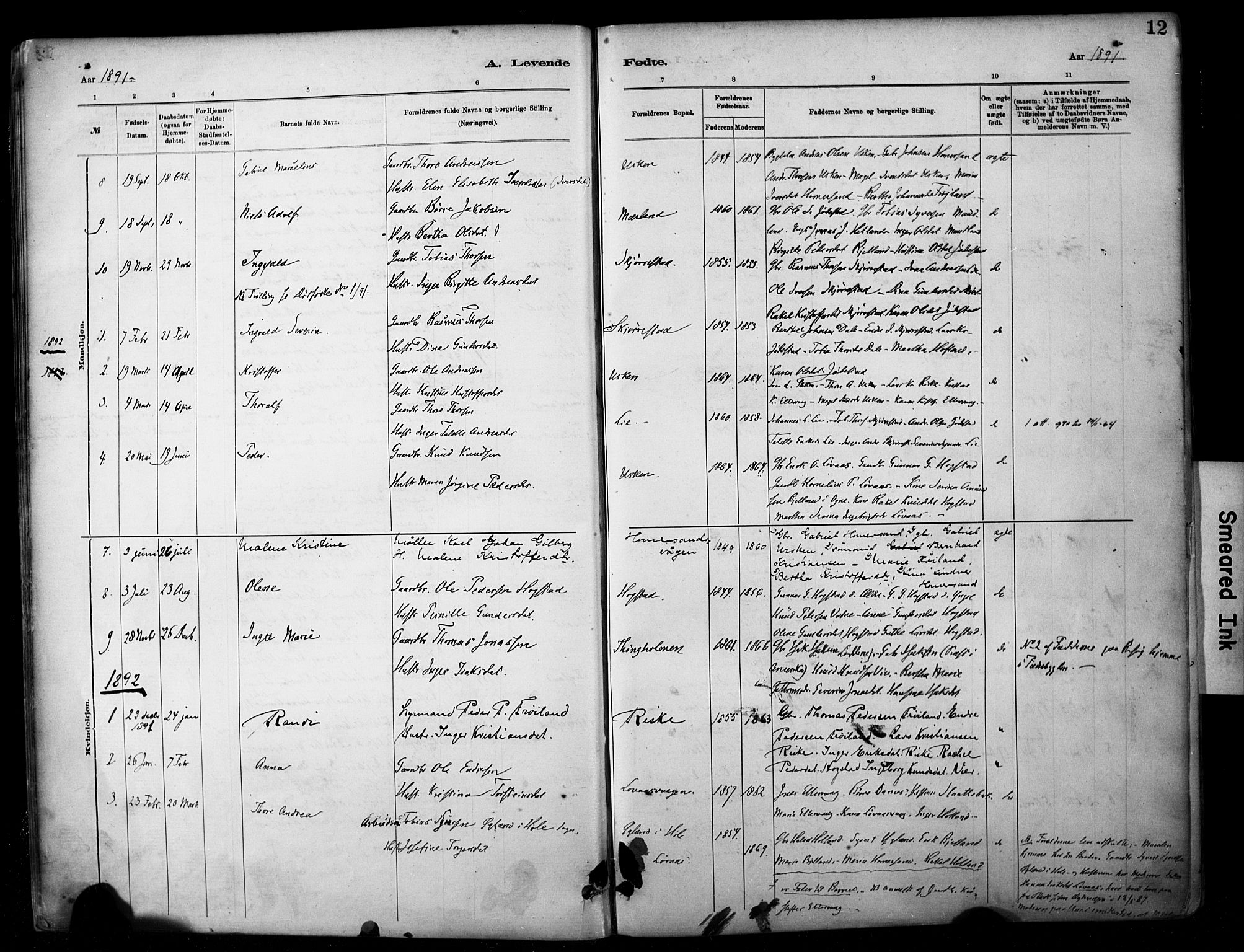 Hetland sokneprestkontor, AV/SAST-A-101826/30/30BA/L0010: Parish register (official) no. A 10, 1882-1925, p. 12