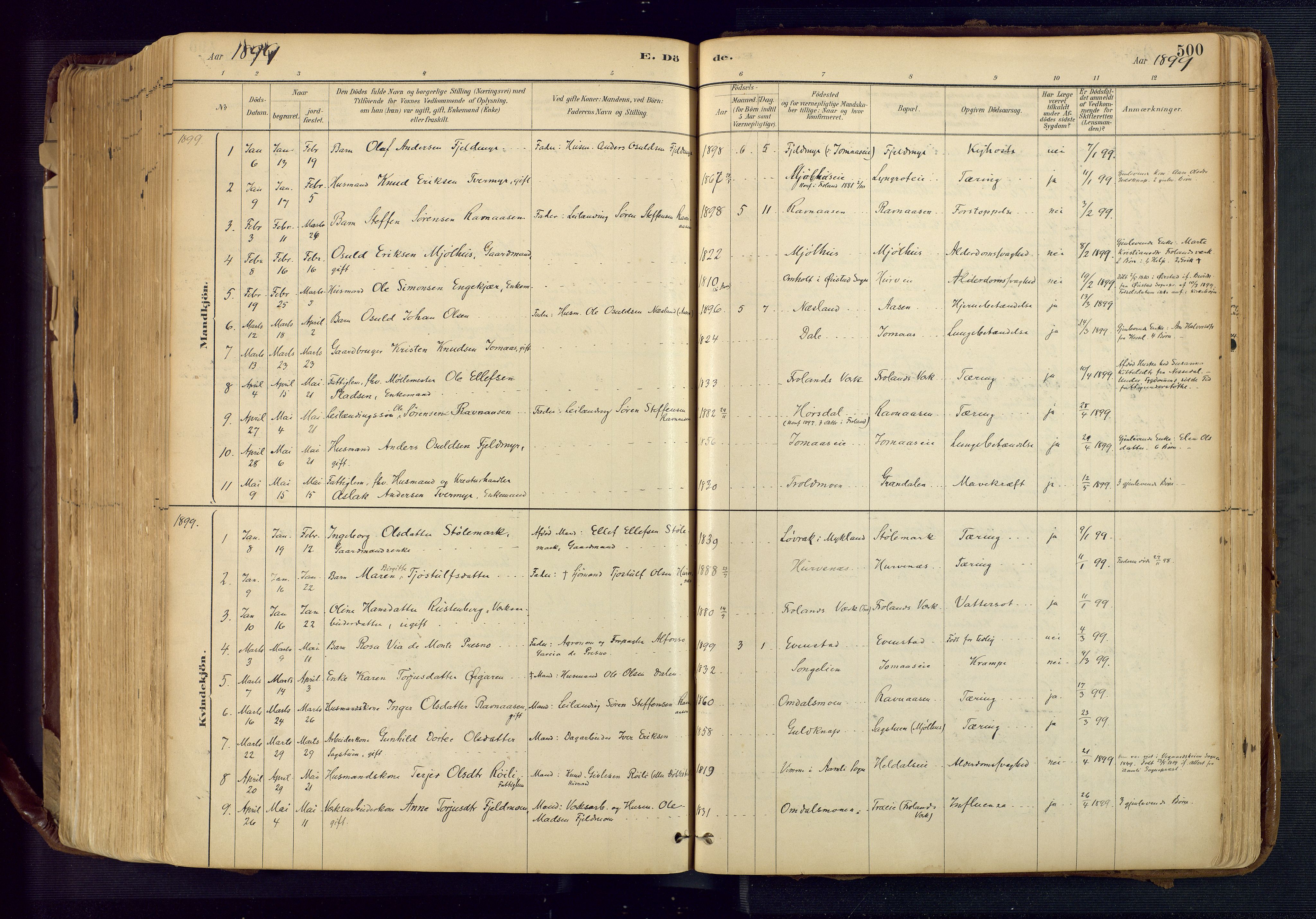 Froland sokneprestkontor, AV/SAK-1111-0013/F/Fa/L0005: Parish register (official) no. A 5, 1882-1921, p. 500