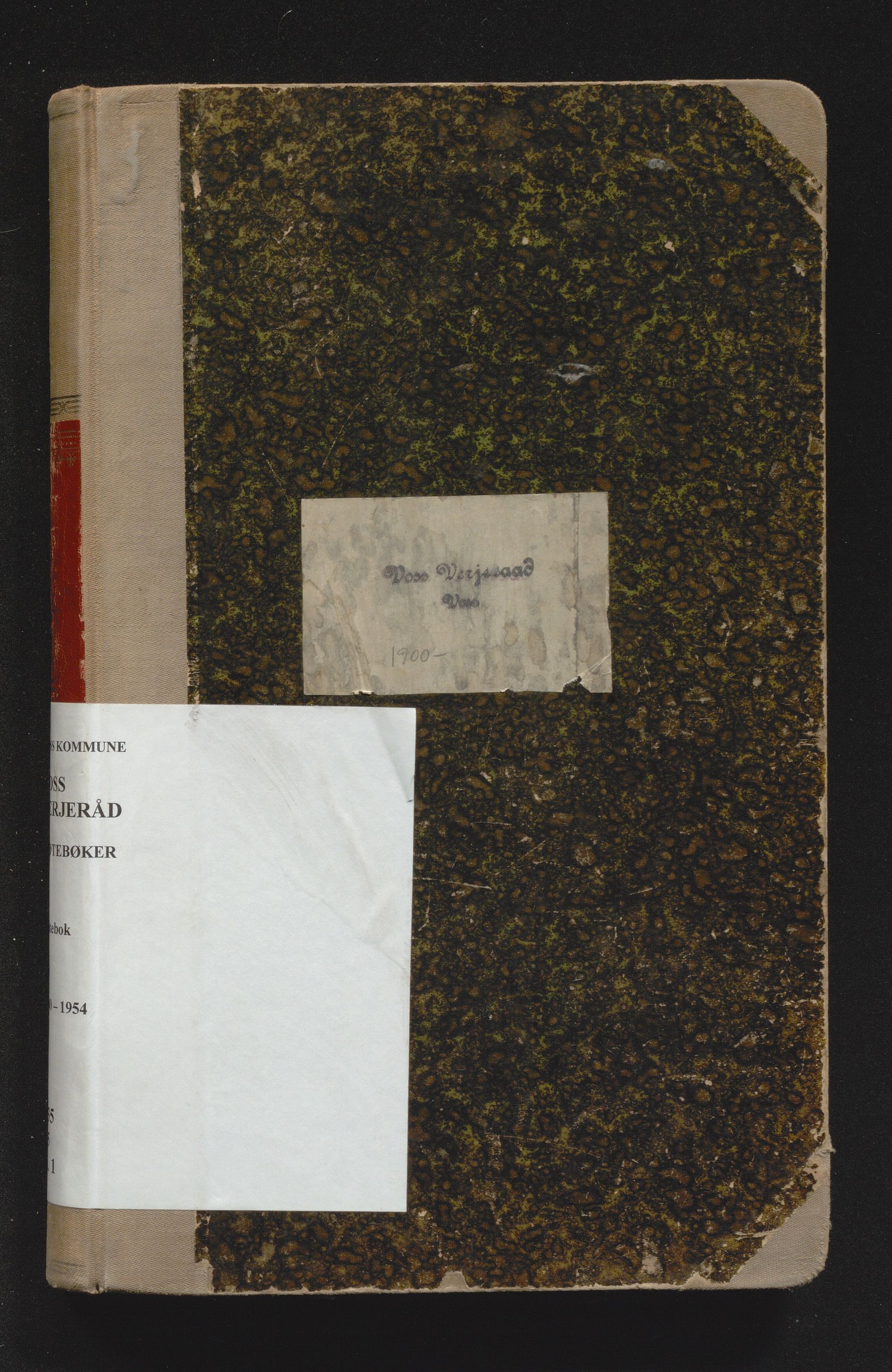 Voss kommune. Verjerådet / barnevernsnemnda, IKAH/1235-315/A/Aa/L0001: Møtebok for Voss verjeråd, 1900-1954