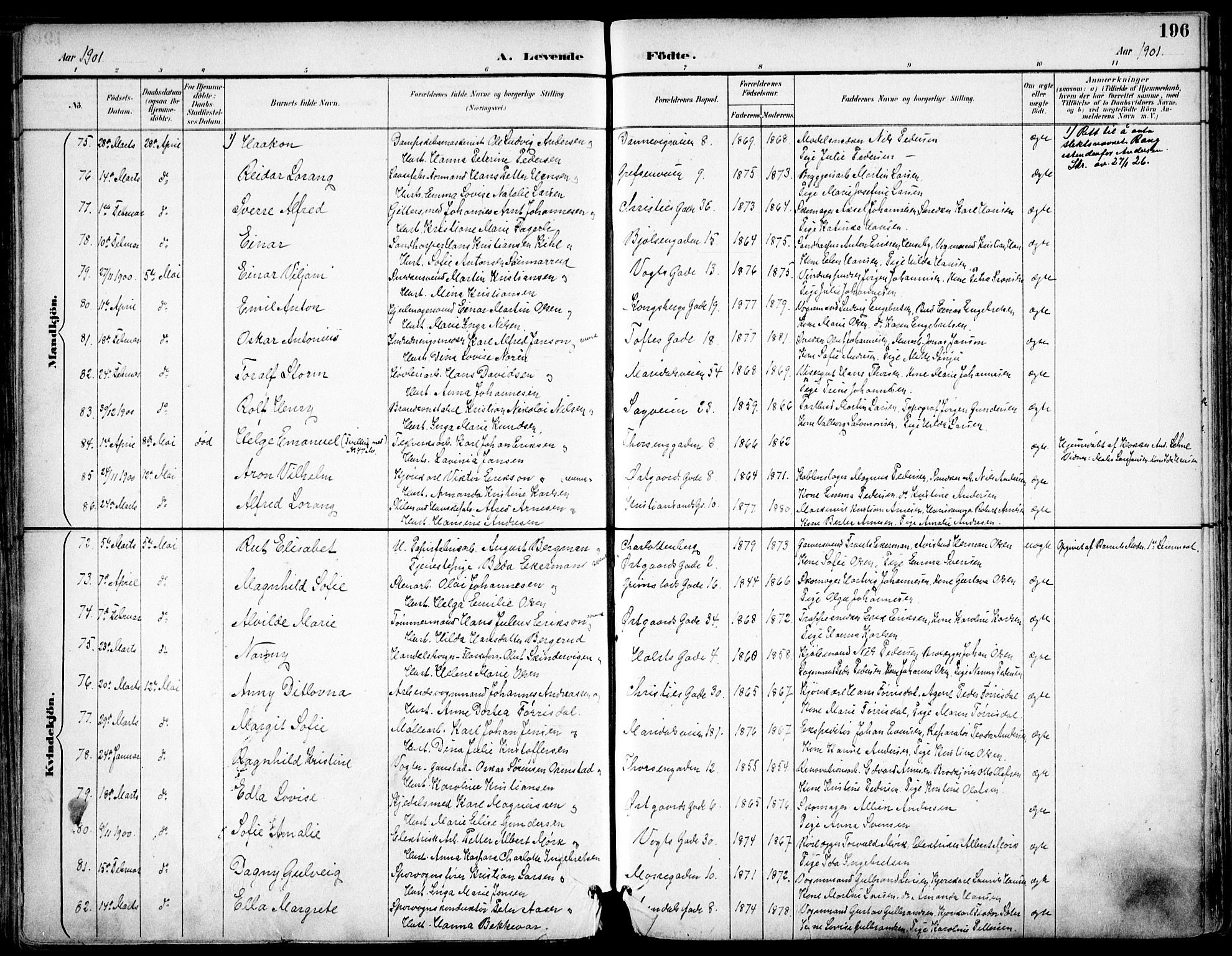 Sagene prestekontor Kirkebøker, SAO/A-10796/F/L0004: Parish register (official) no. 4, 1894-1904, p. 196