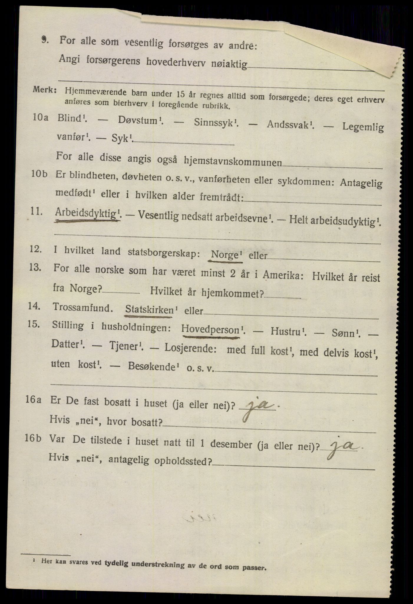 SAKO, 1920 census for Hemsedal, 1920, p. 993