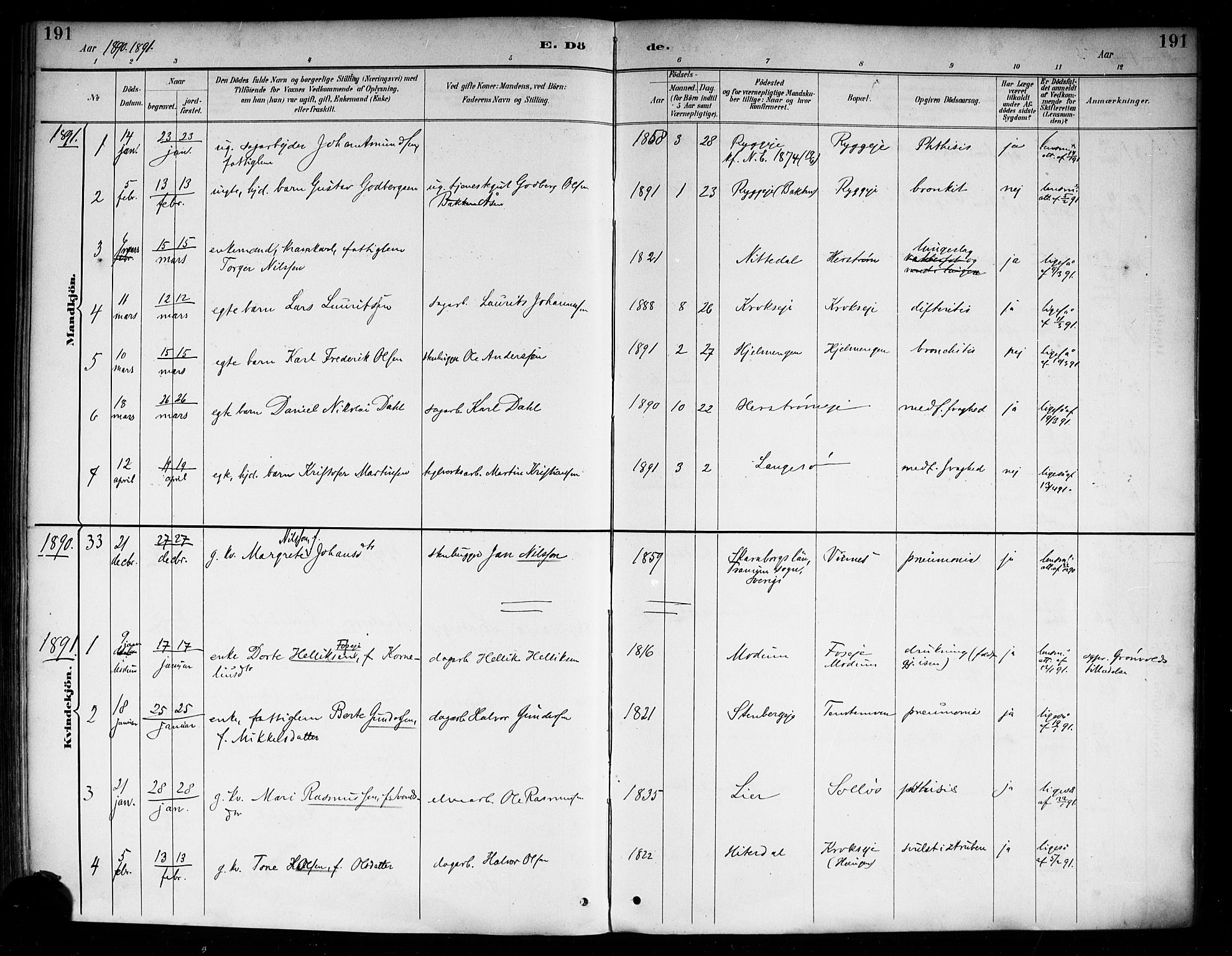 Nedre Eiker kirkebøker, AV/SAKO-A-612/F/Fa/L0003: Parish register (official) no. 3, 1885-1892, p. 191