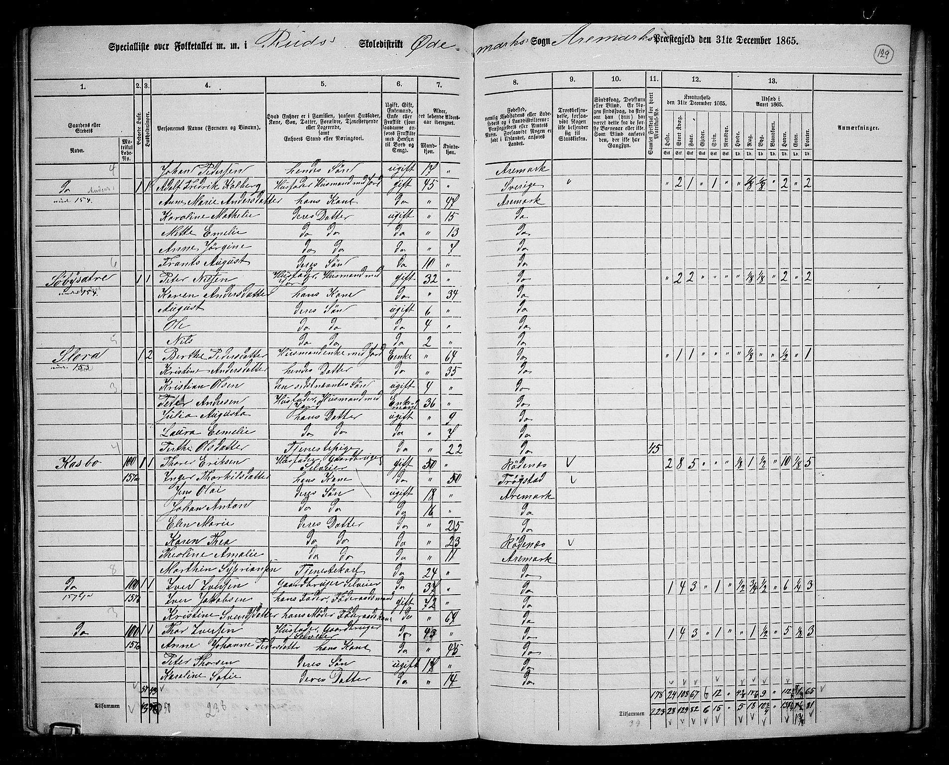 RA, 1865 census for Aremark, 1865, p. 118