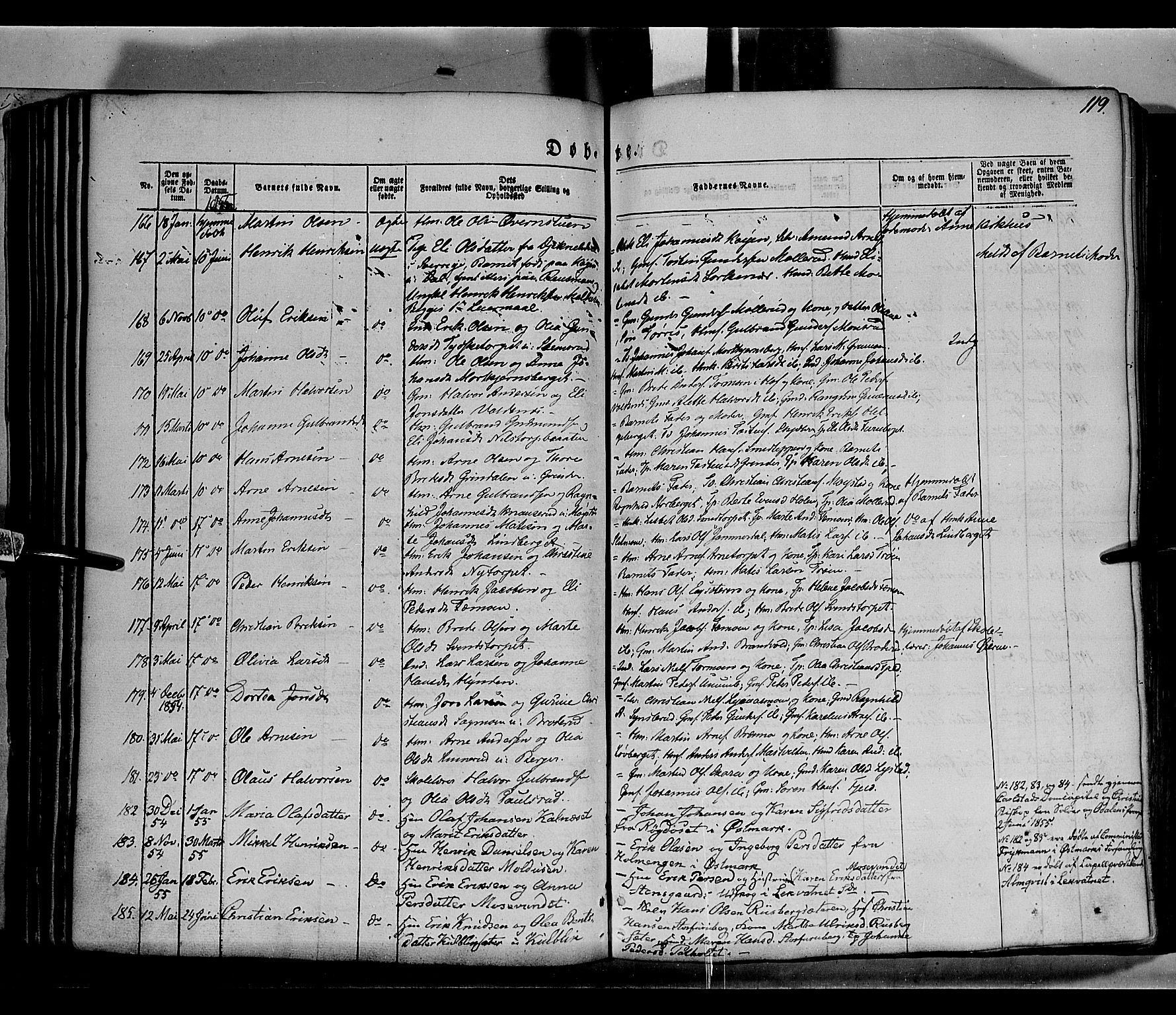 Grue prestekontor, AV/SAH-PREST-036/H/Ha/Haa/L0008: Parish register (official) no. 8, 1847-1858, p. 119